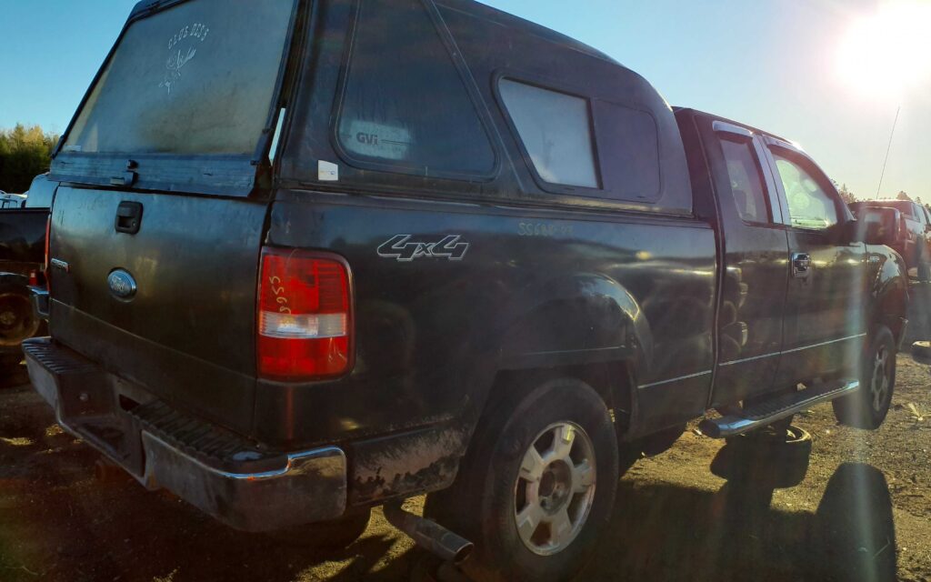 FORD F-150 2007