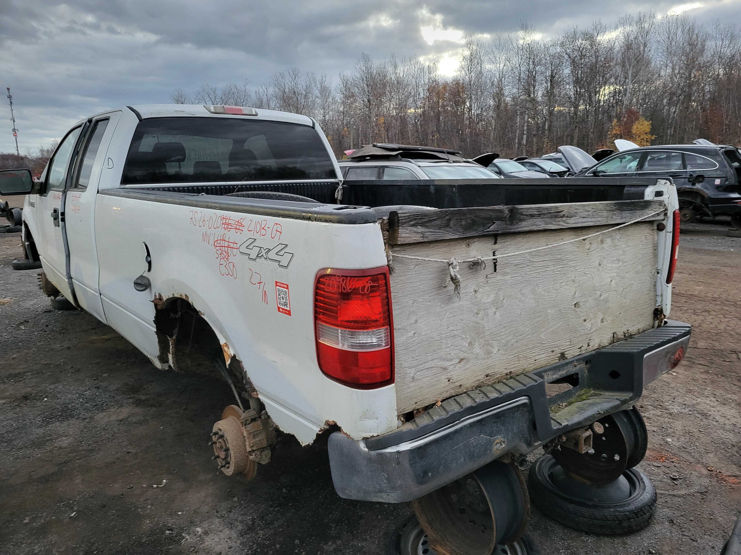 FORD F-150 2007