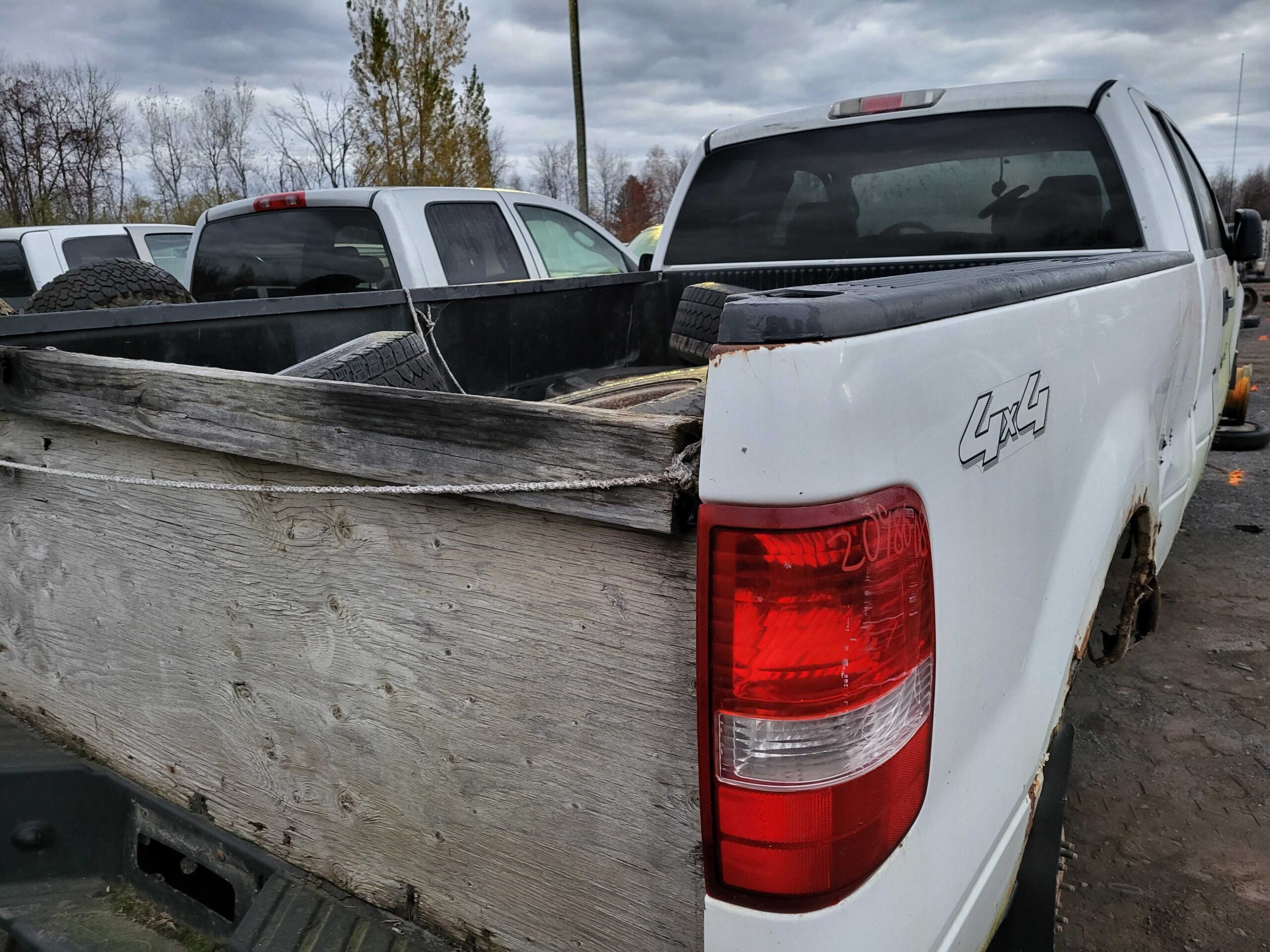 FORD F-150 2007