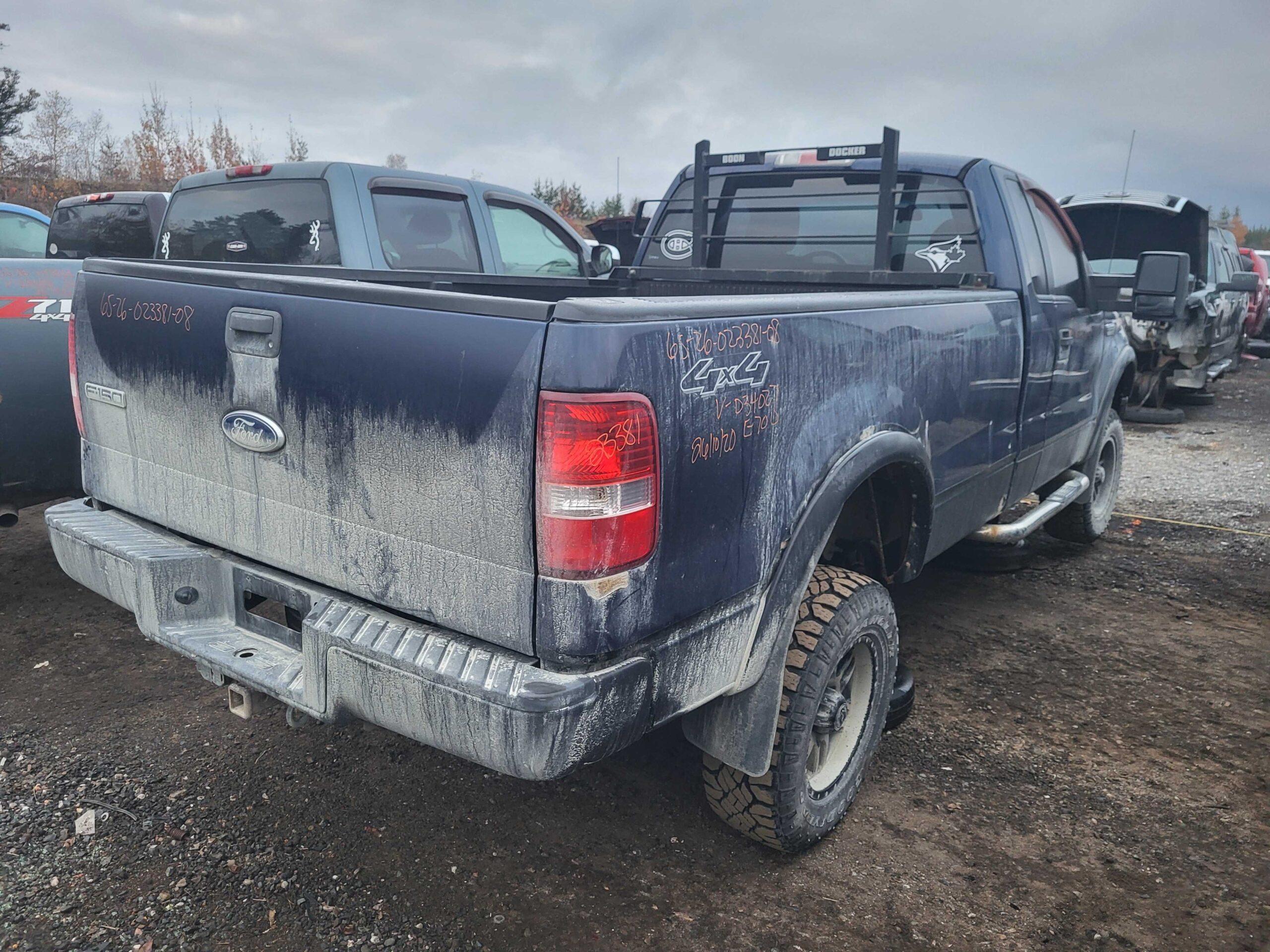 FORD F-150 2008