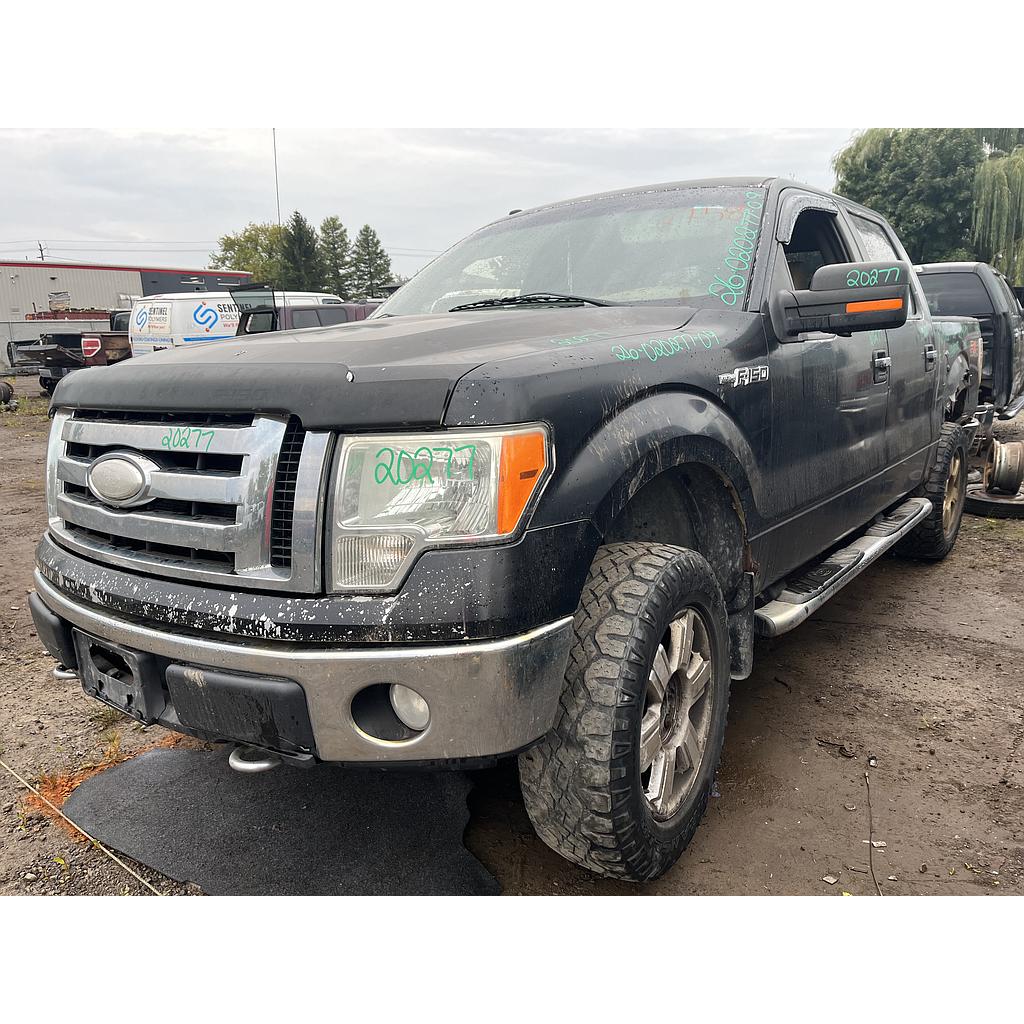 FORD F-150 2009