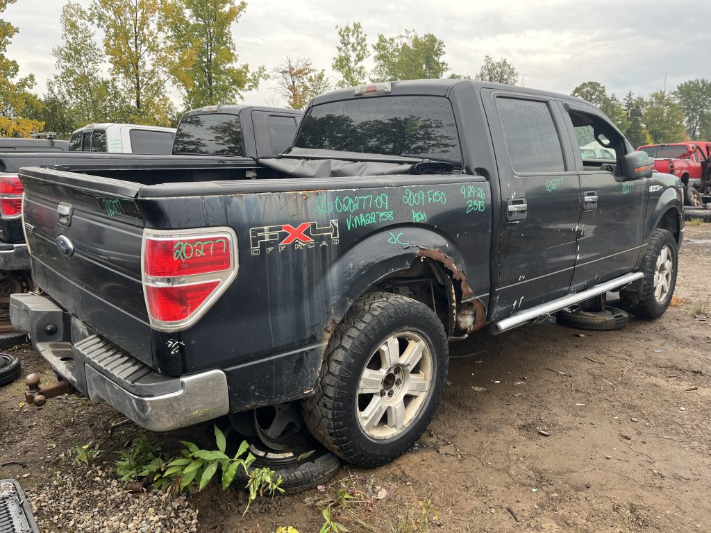 FORD F-150 2009
