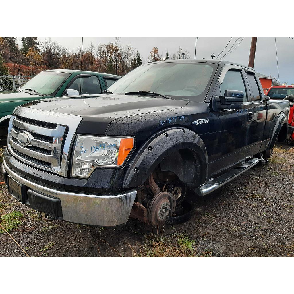FORD F-150 2009