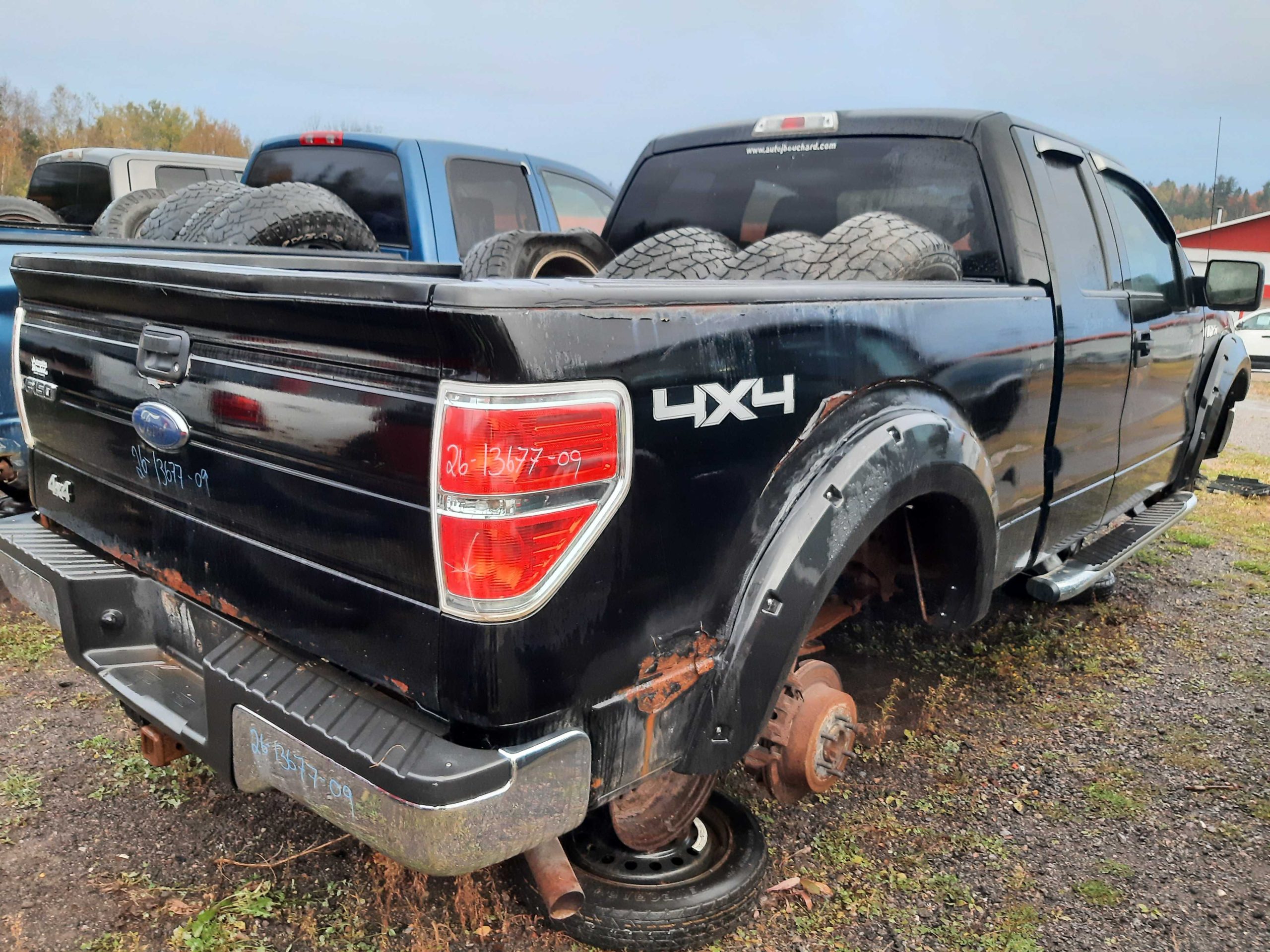 FORD F-150 2009