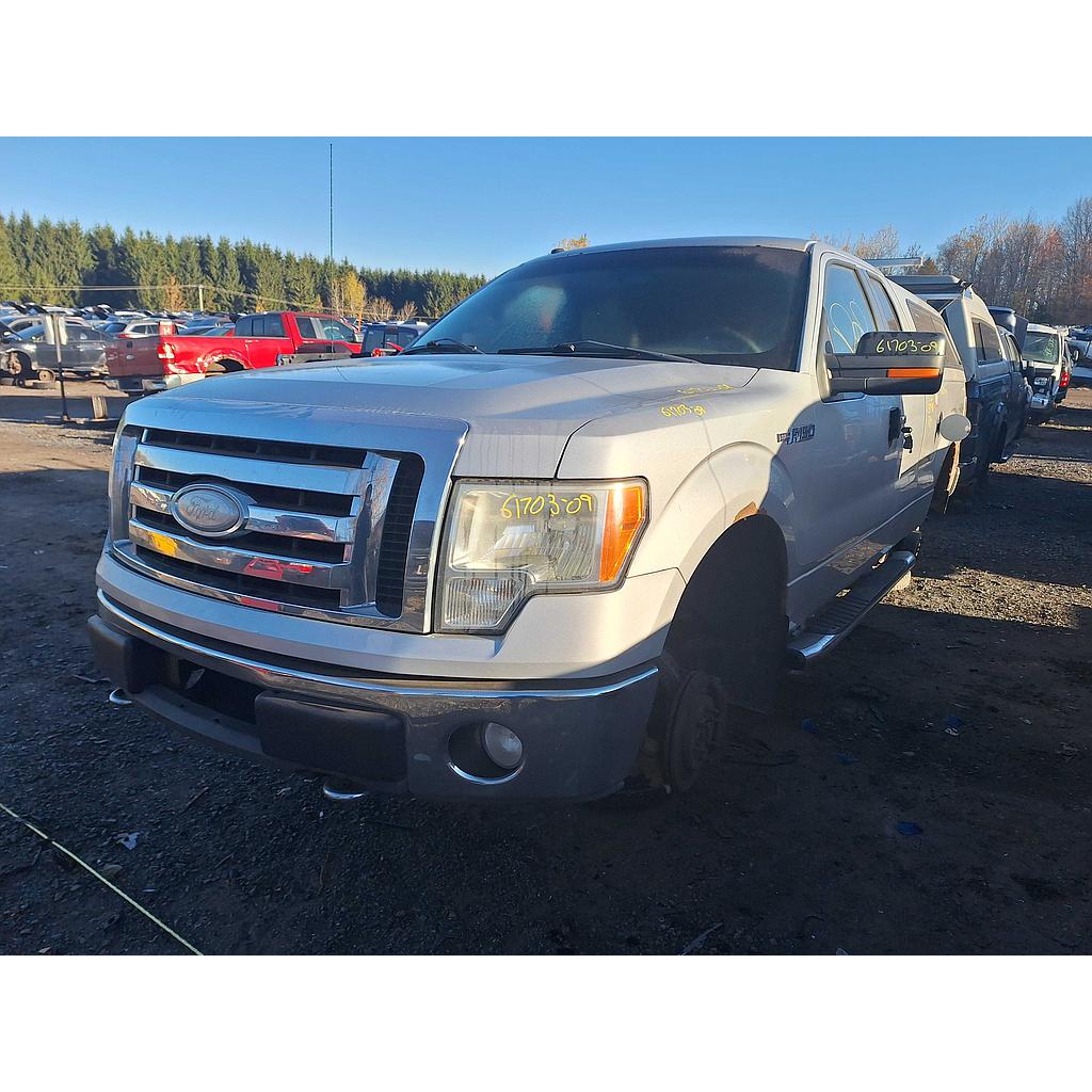 FORD F-150 2009