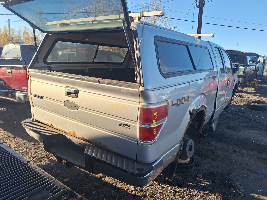 FORD F-150 2009