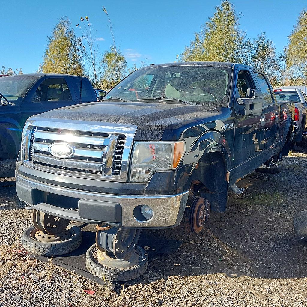 FORD F-150 2009
