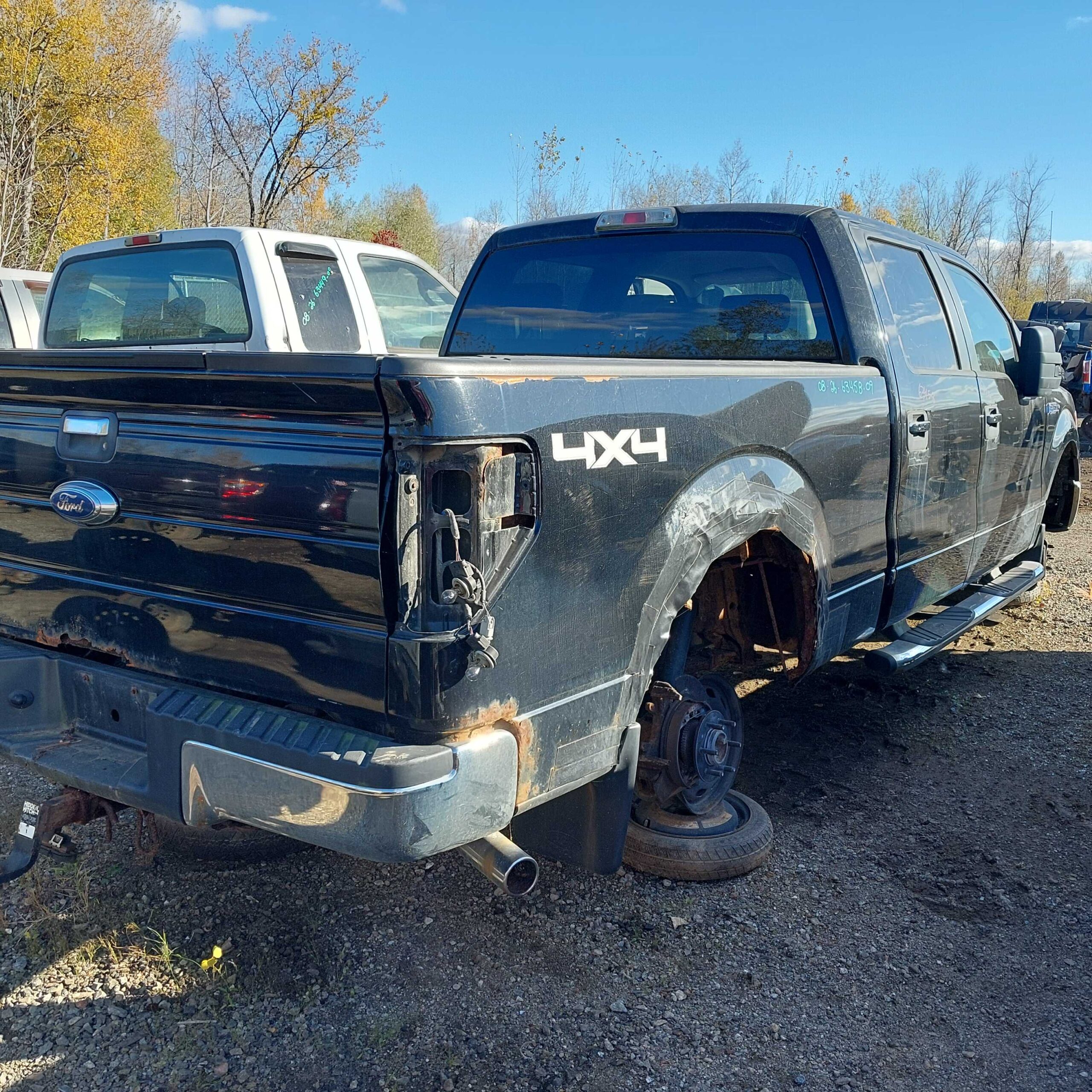 FORD F-150 2009
