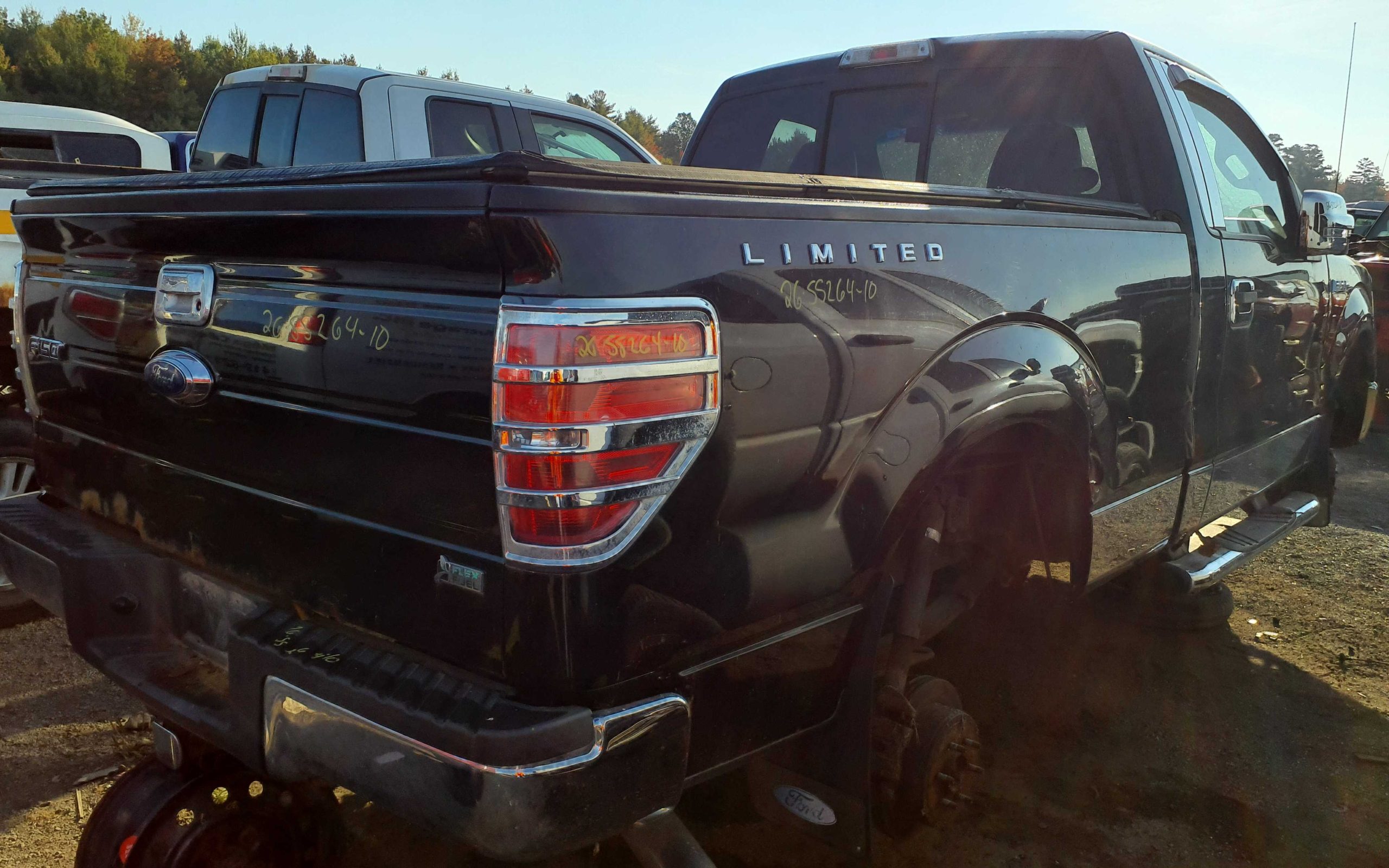 FORD F-150 2010