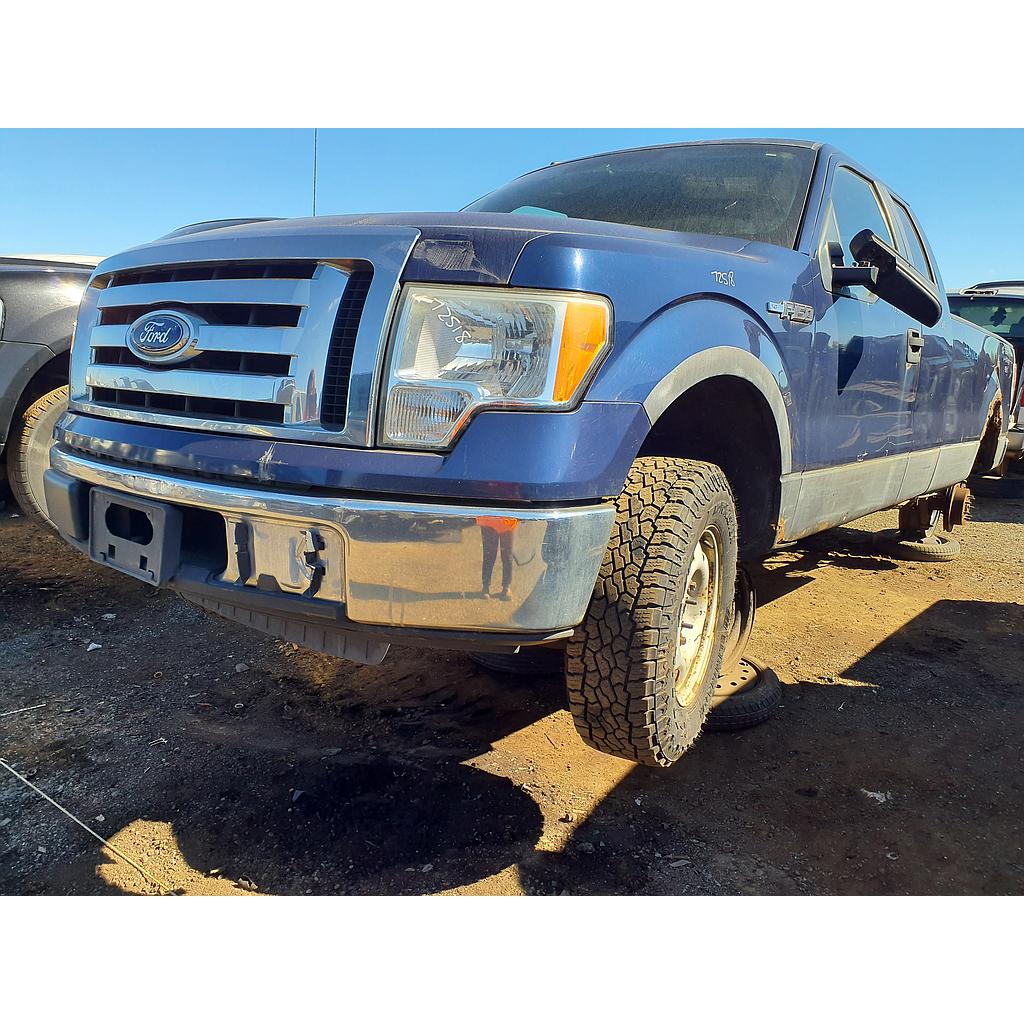 FORD F-150 2010