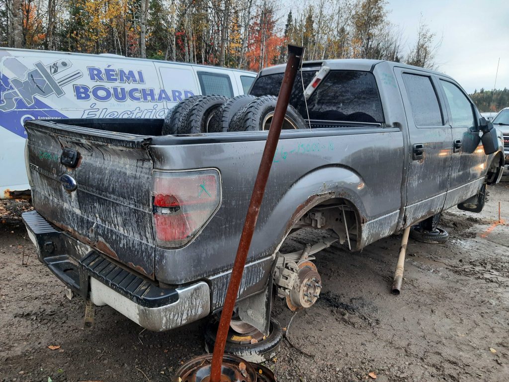 FORD F-150 2010