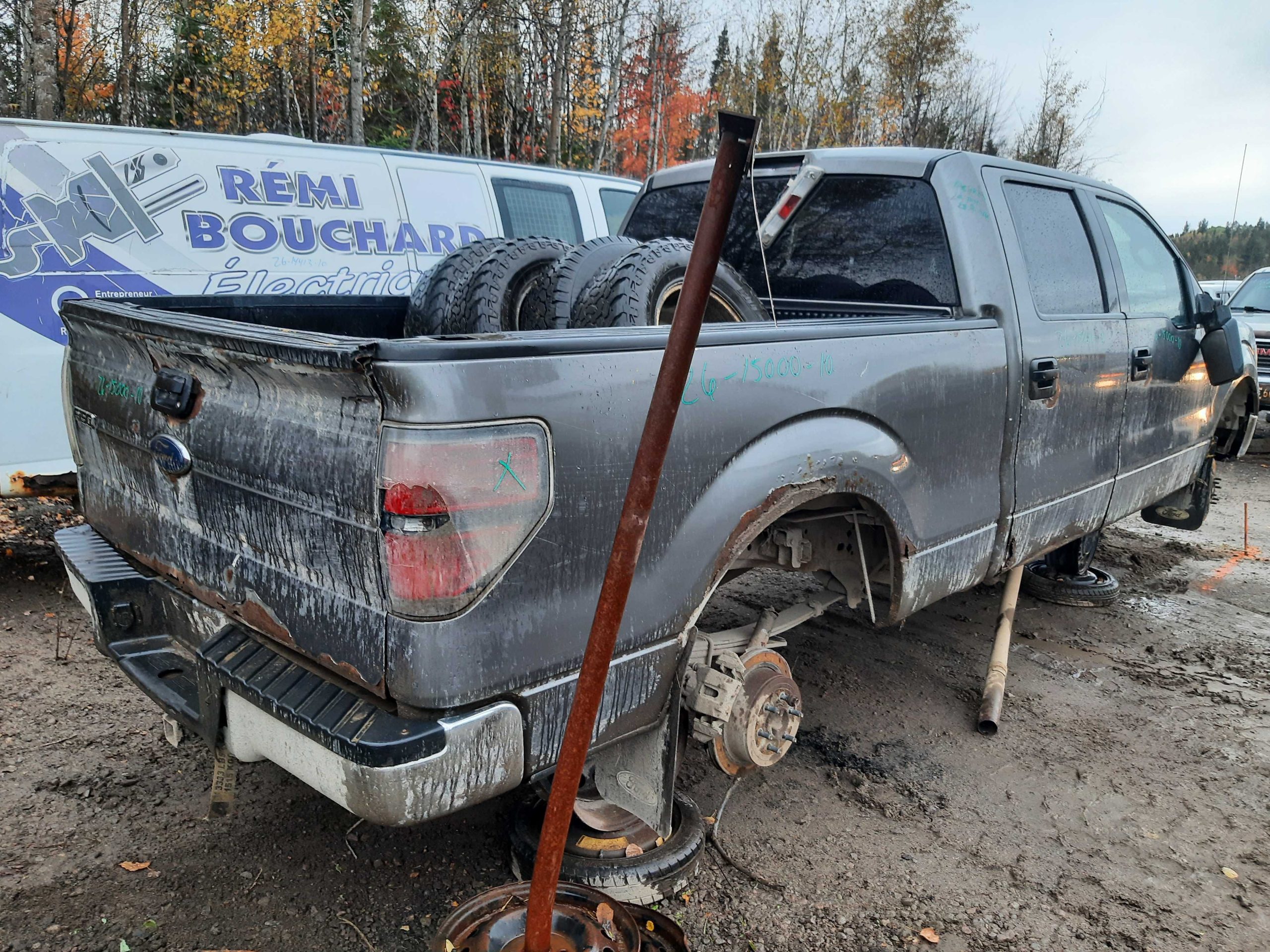 FORD F-150 2010