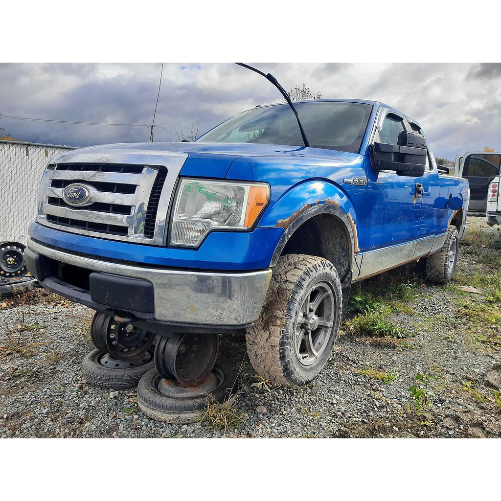 FORD F-150 2010