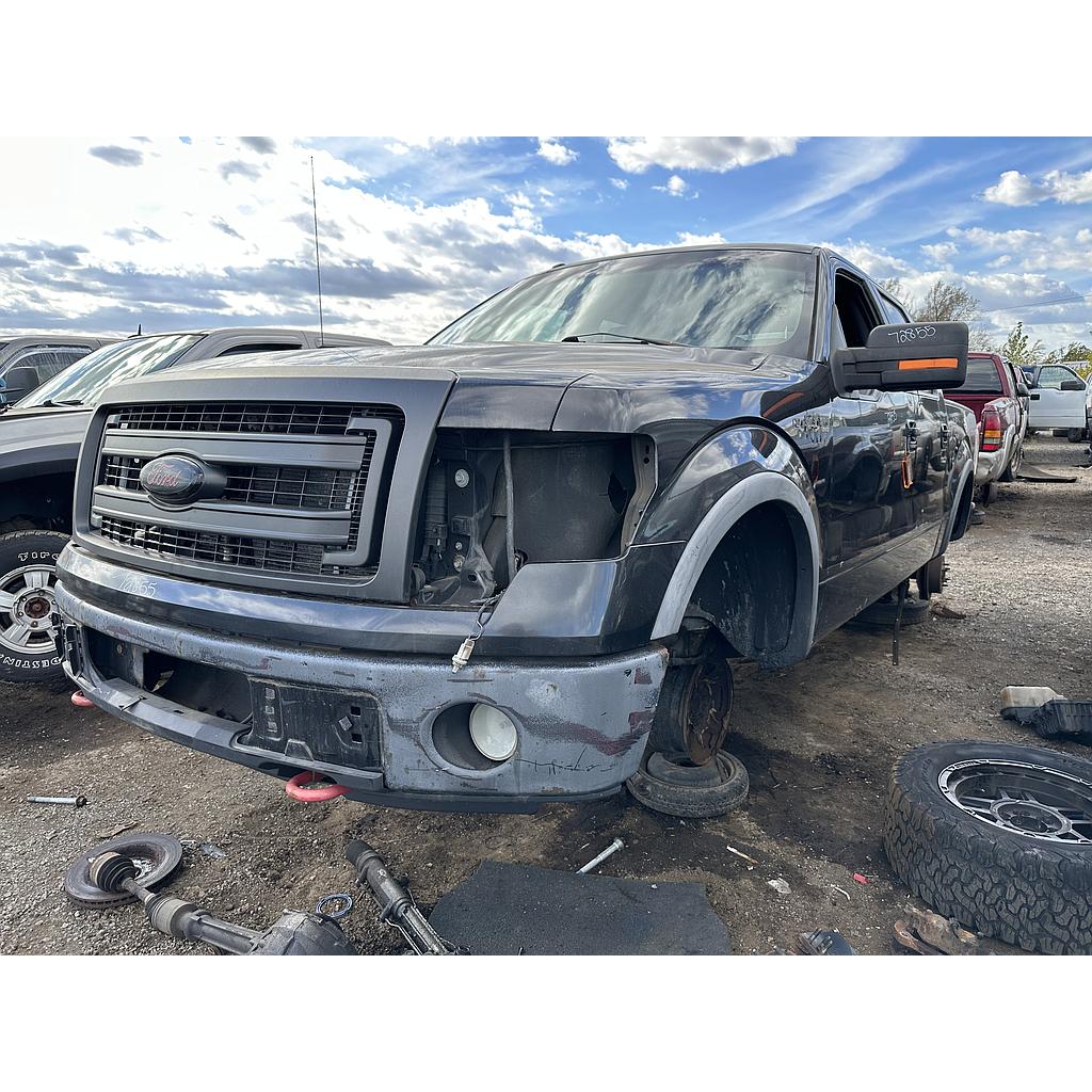 FORD F-150 2010