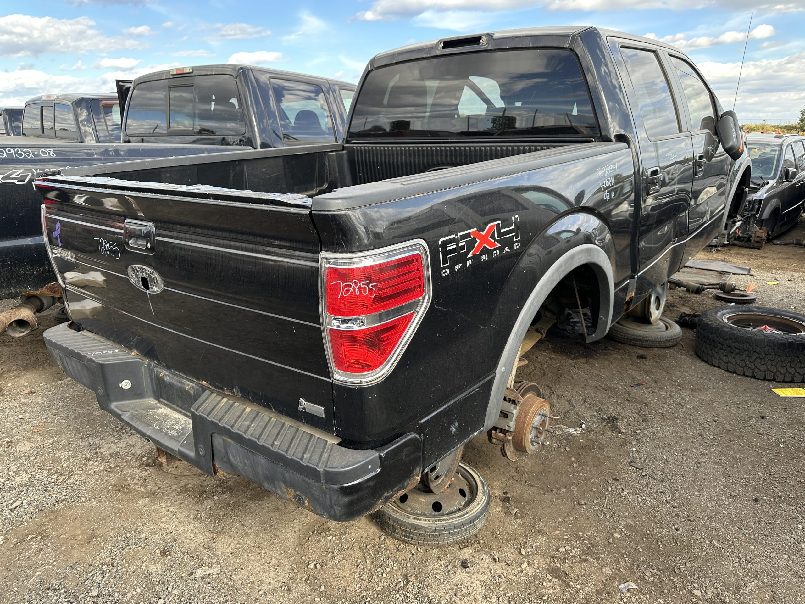 FORD F-150 2010