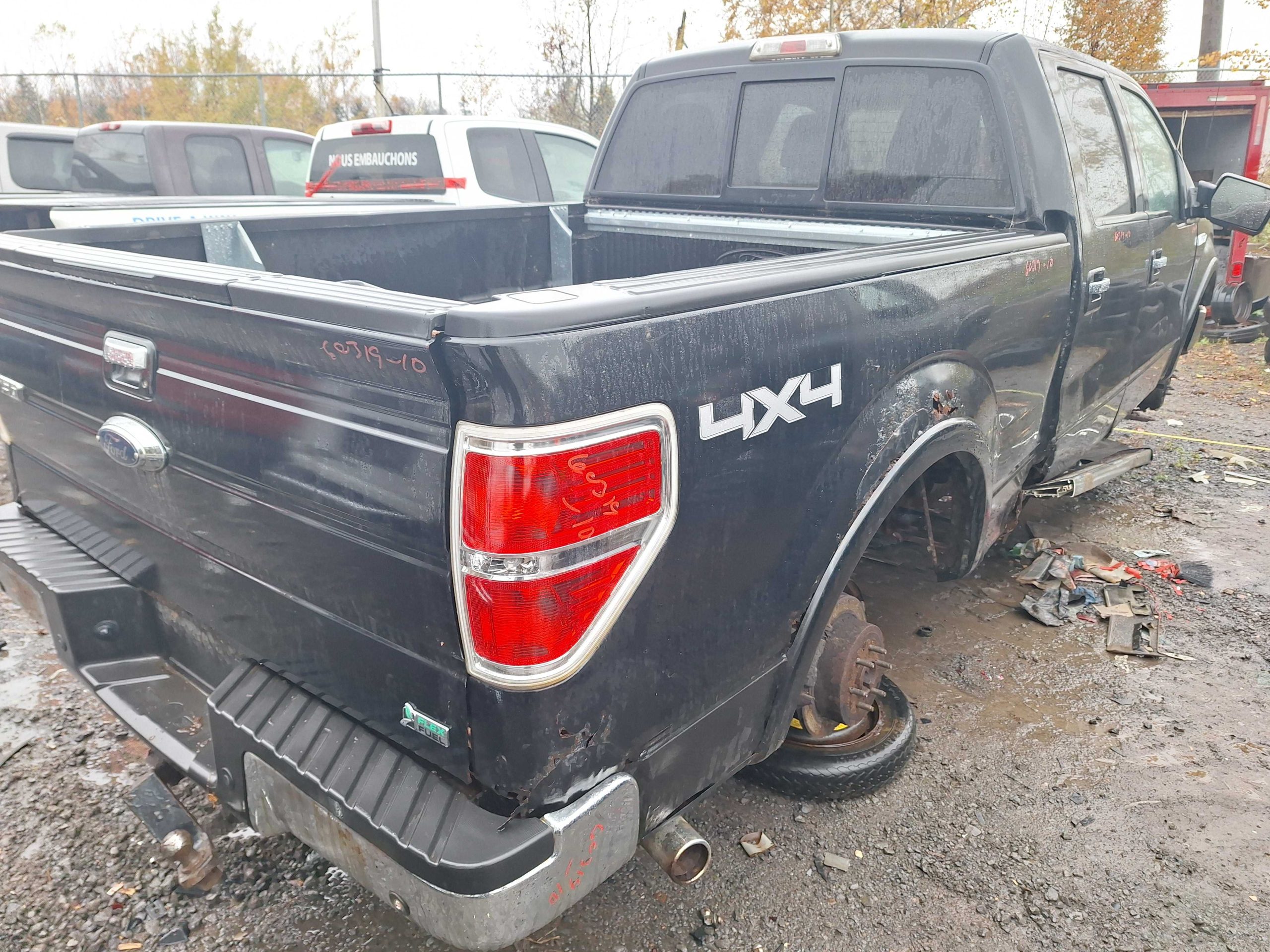 FORD F-150 2010
