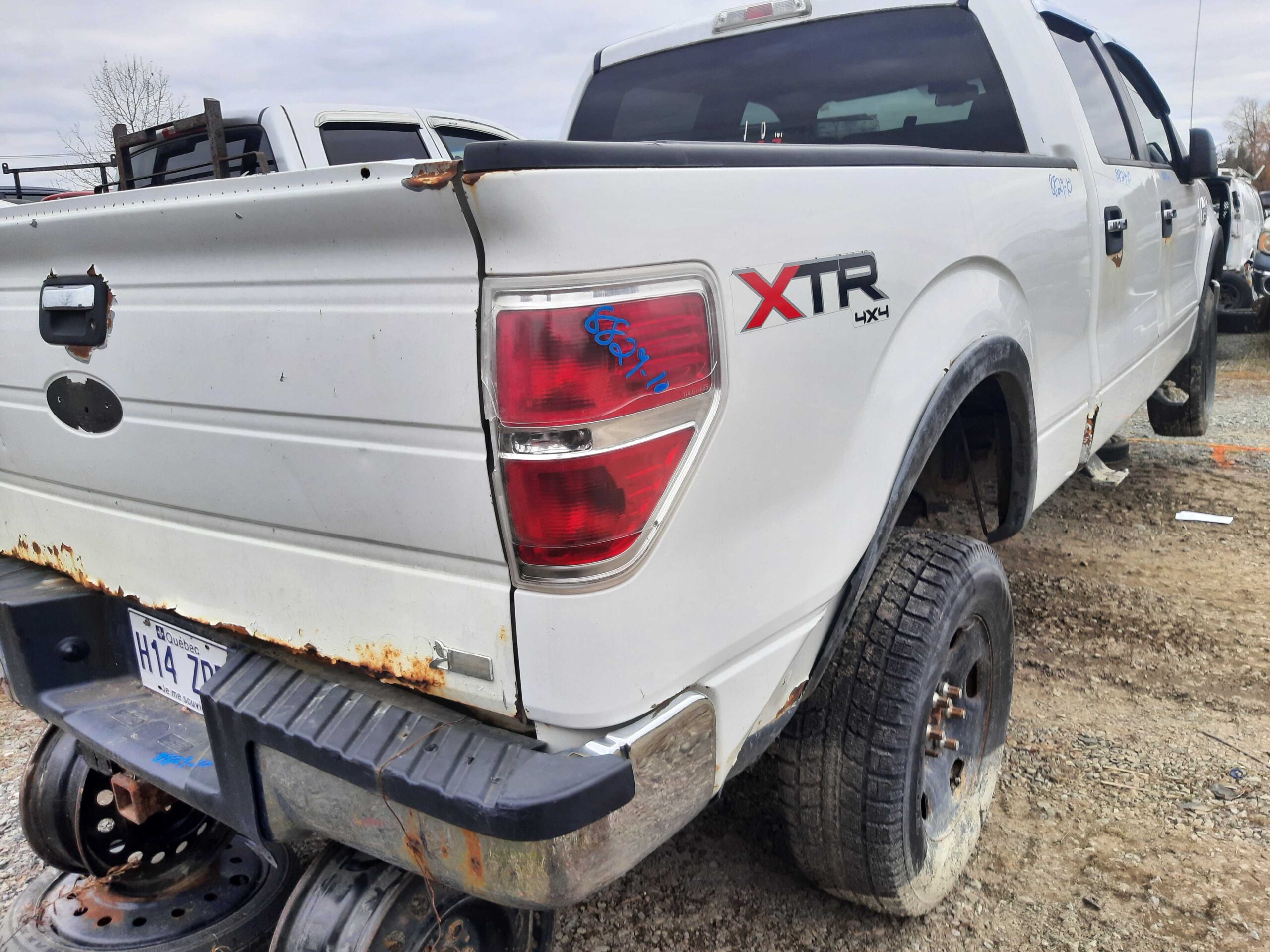 FORD F-150 2010