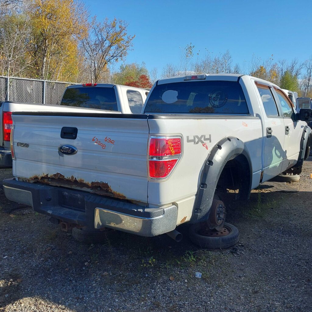 FORD F-150 2010