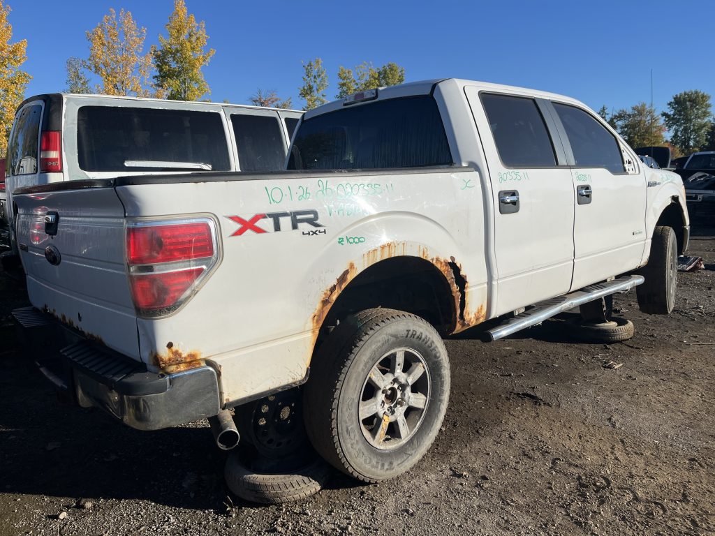 FORD F-150 2011