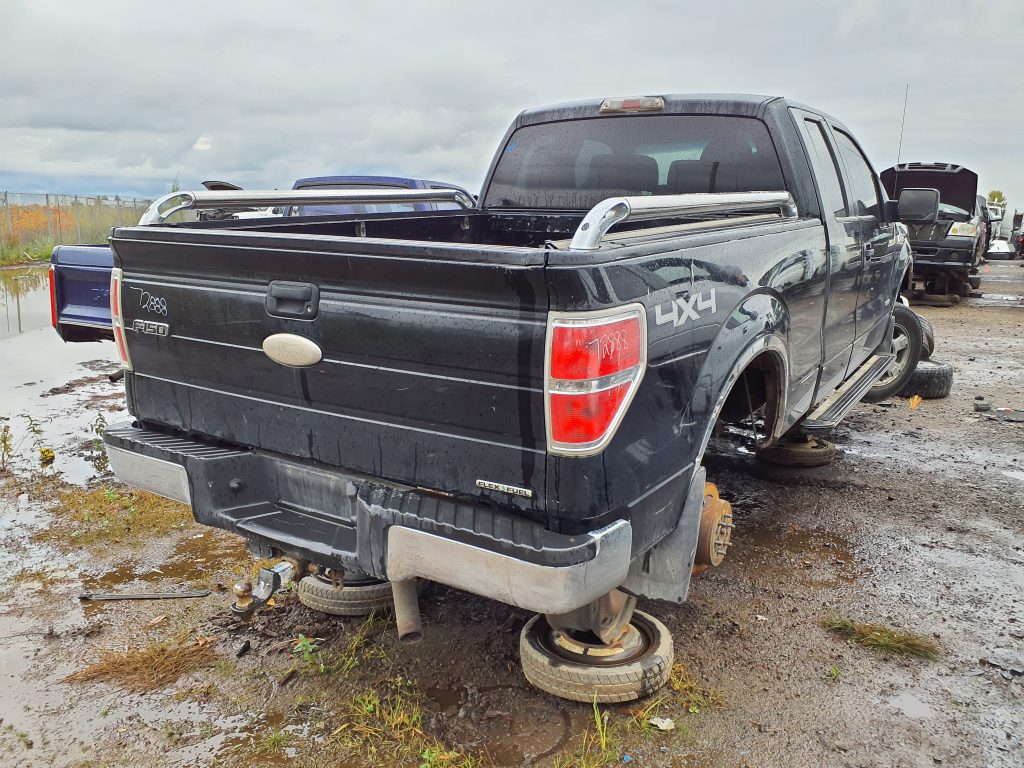 FORD F-150 2011