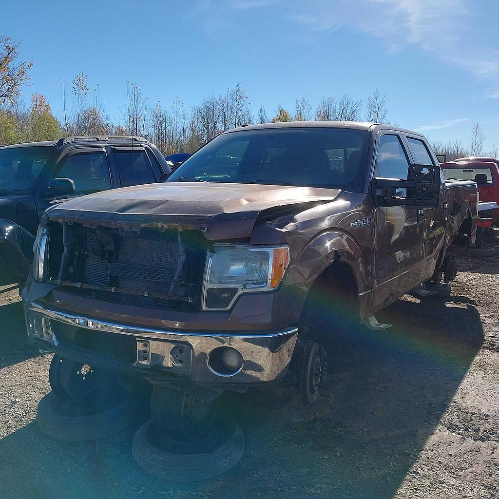 FORD F-150 2011