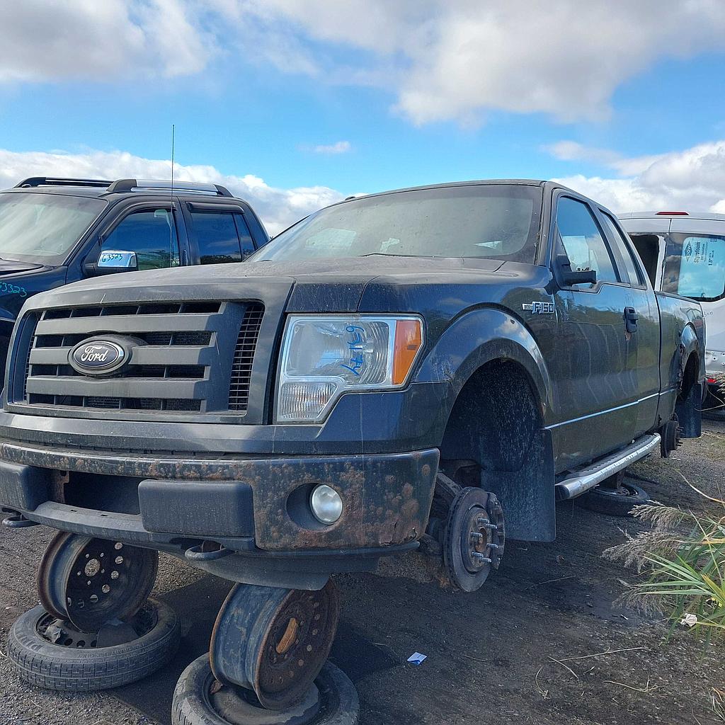 FORD F-150 2012