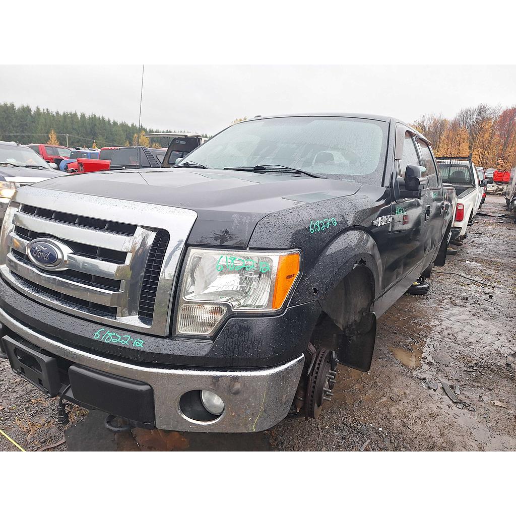 FORD F-150 2012