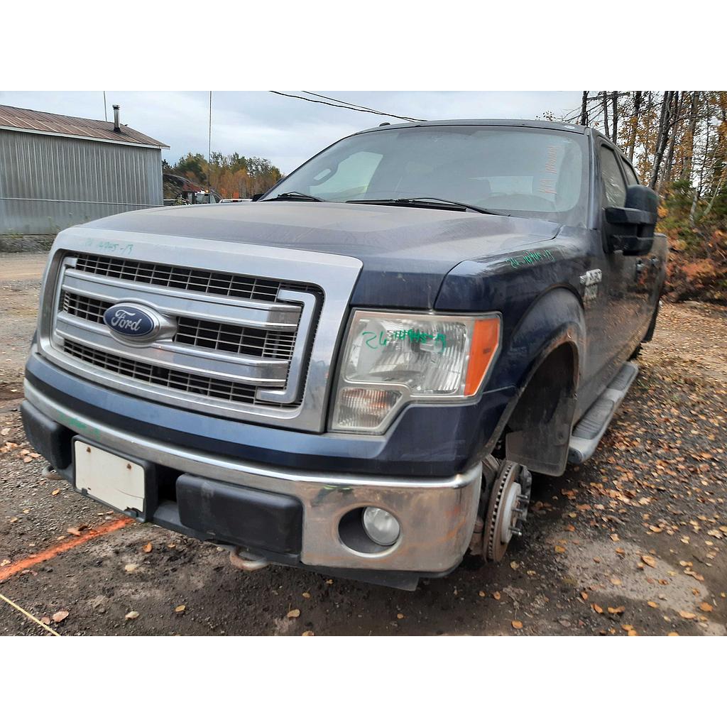 FORD F-150 2013