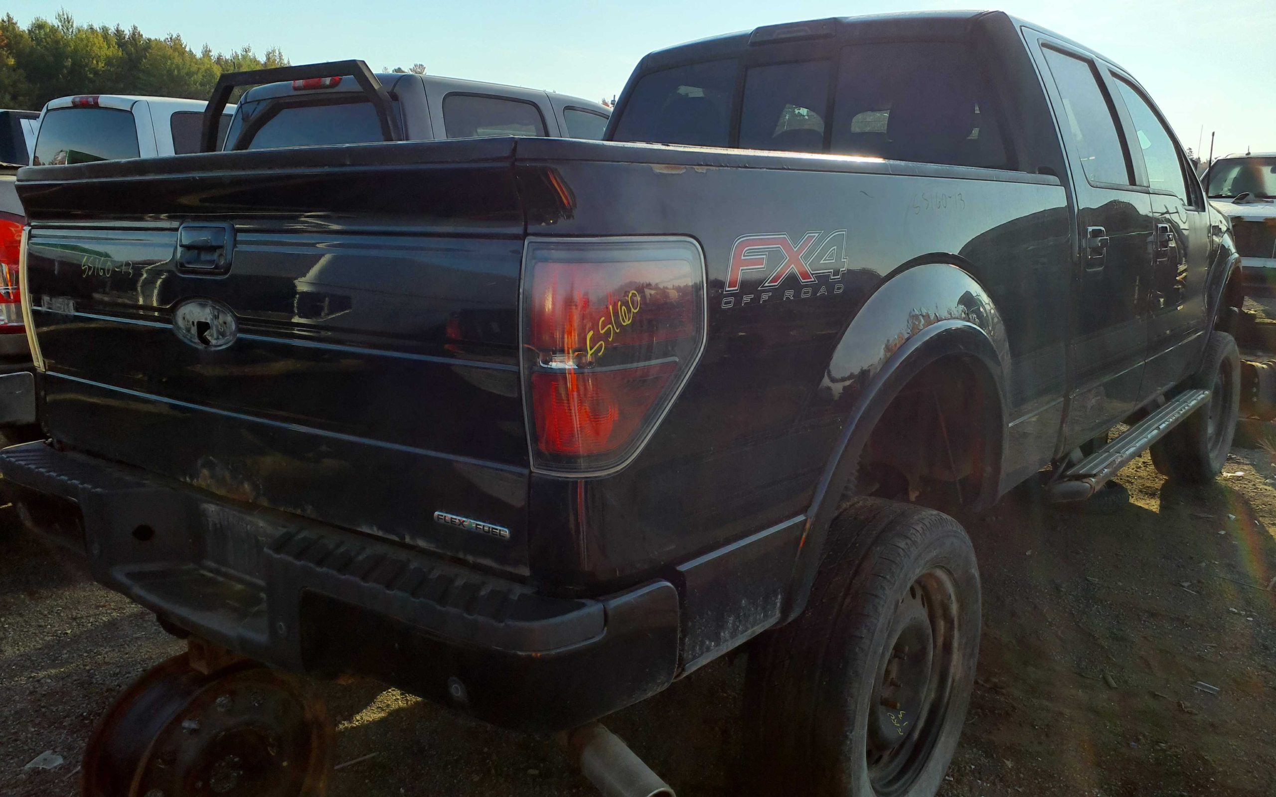 FORD F-150 2013
