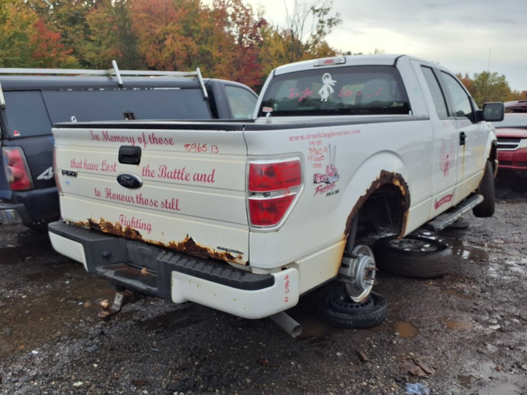 FORD F-150 2013
