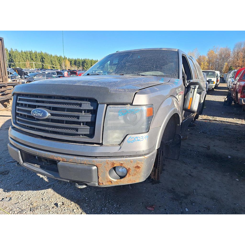 FORD F-150 2014