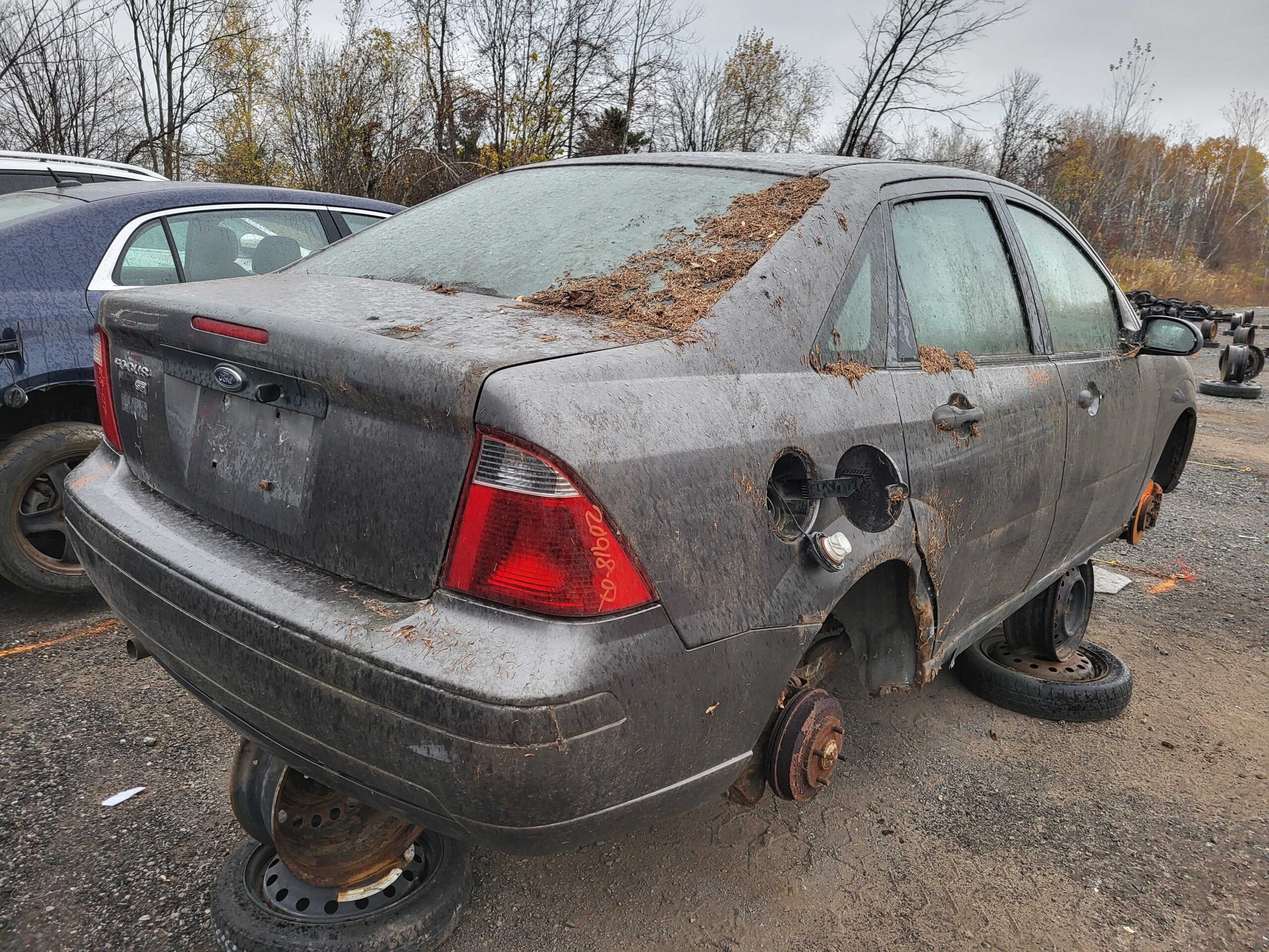 FORD FOCUS 2007
