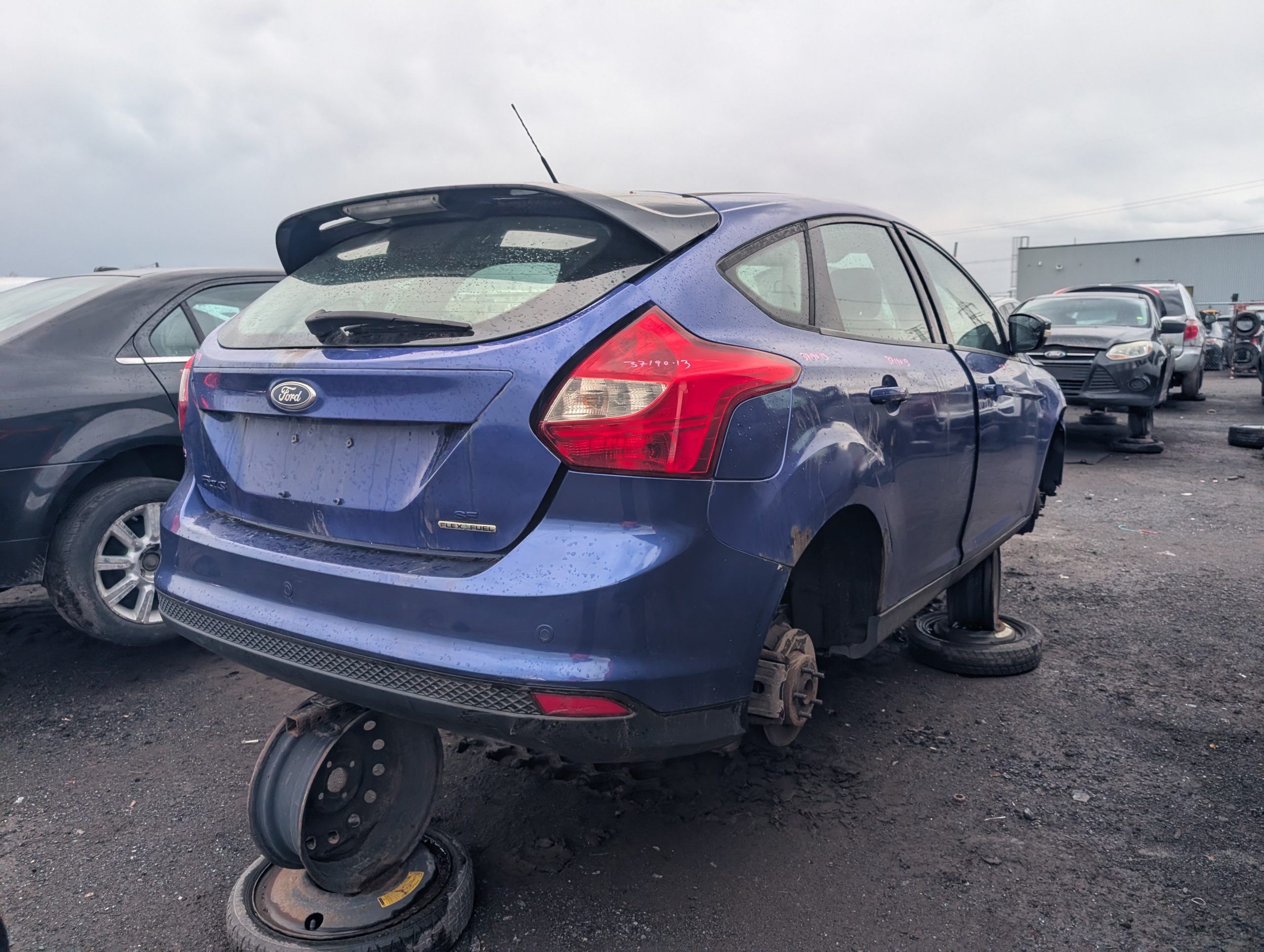 FORD FOCUS 2013