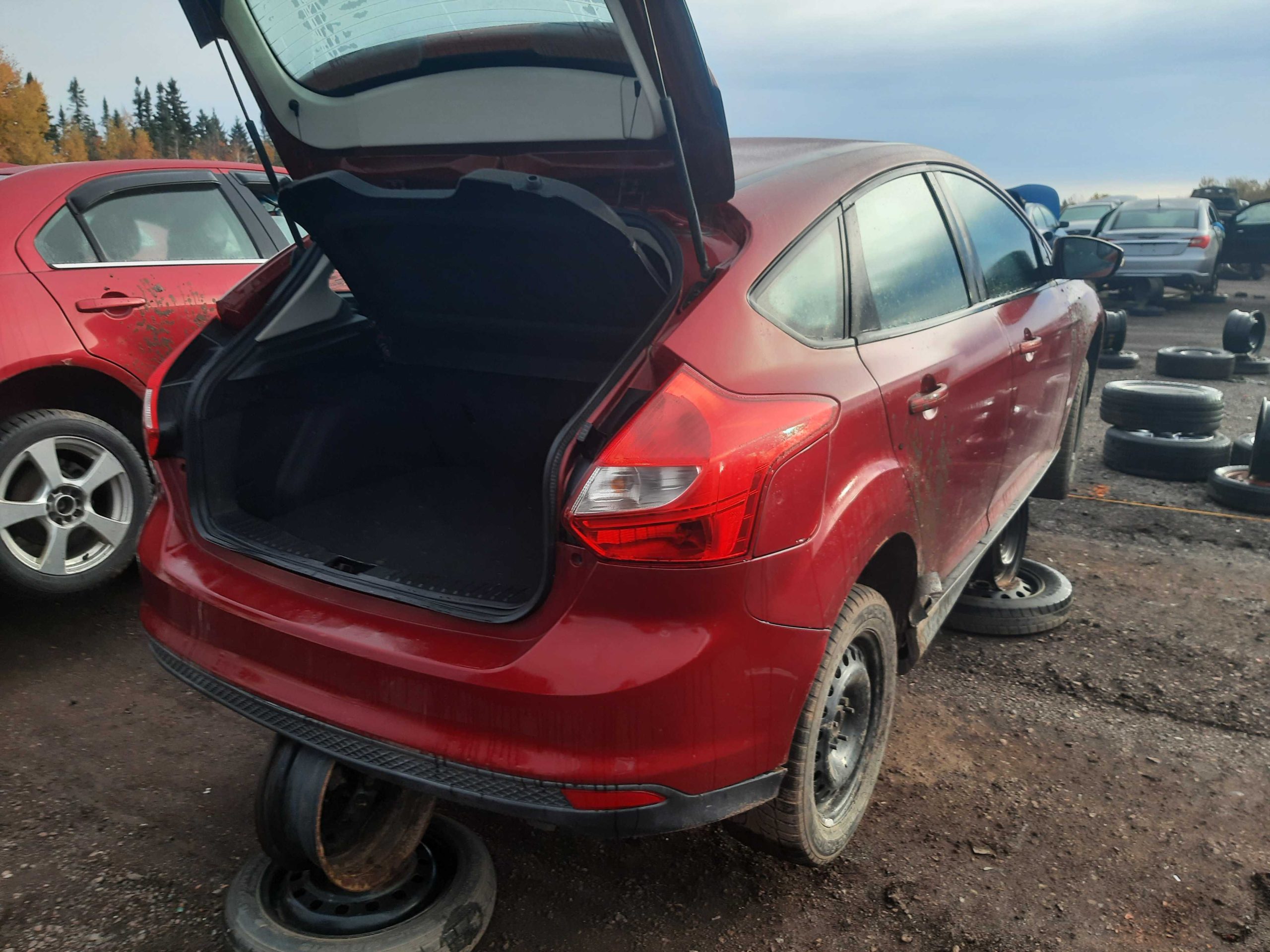 FORD FOCUS 2014