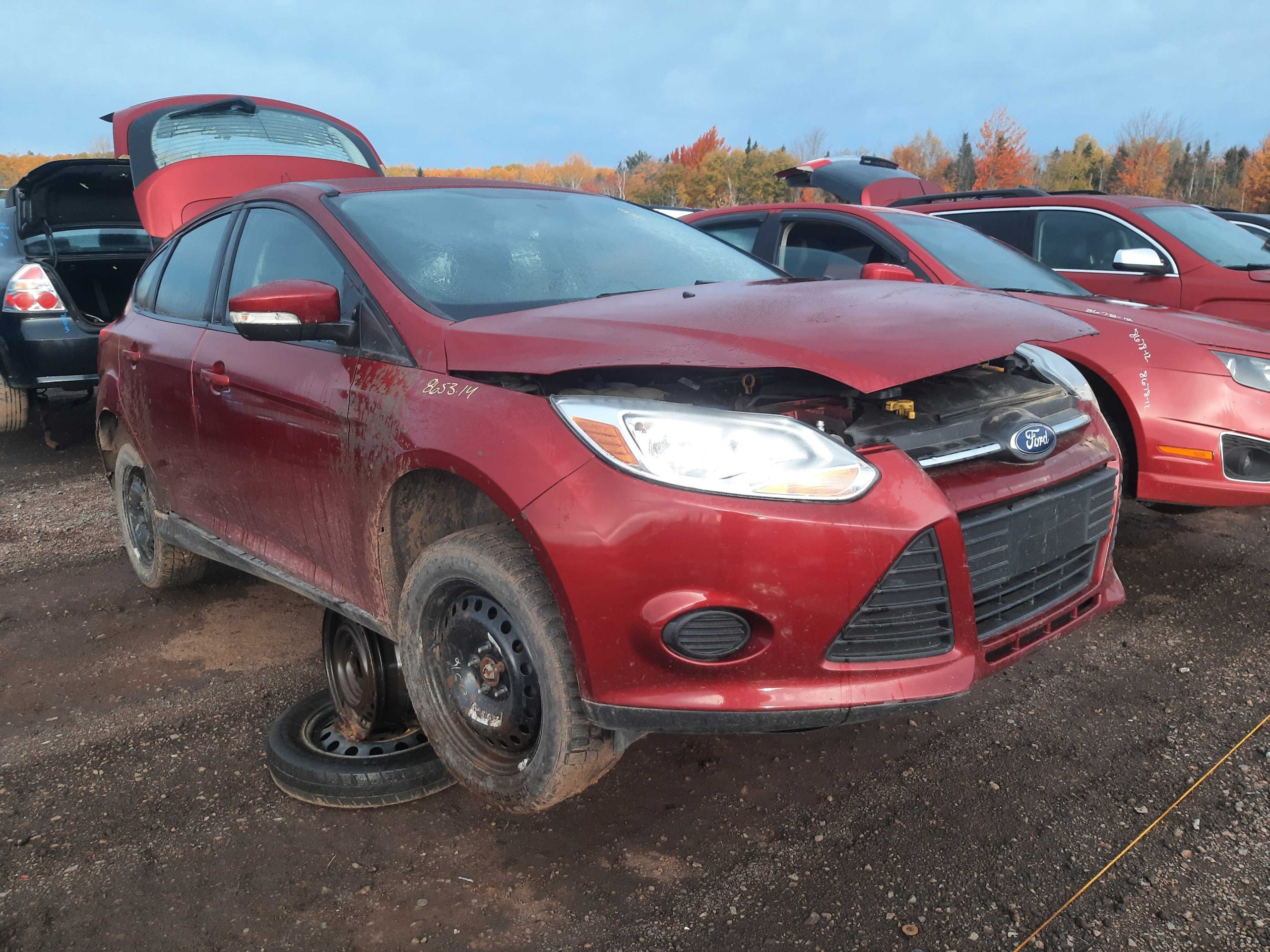 FORD FOCUS 2014