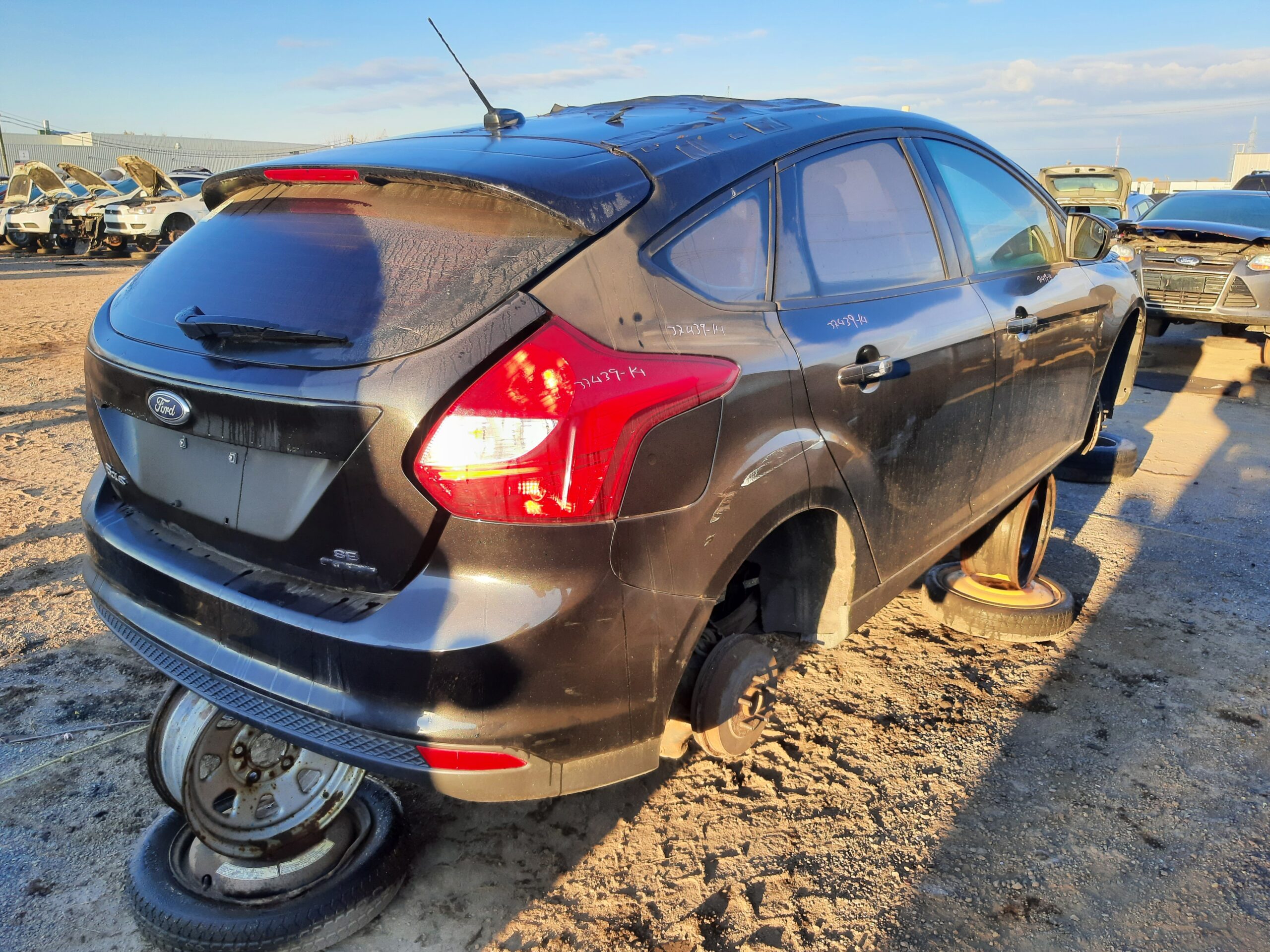FORD FOCUS 2014