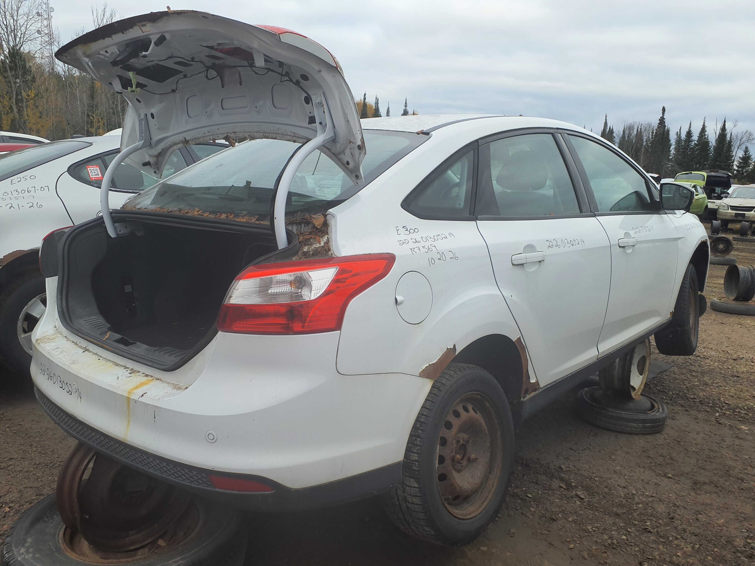 FORD FOCUS 2014