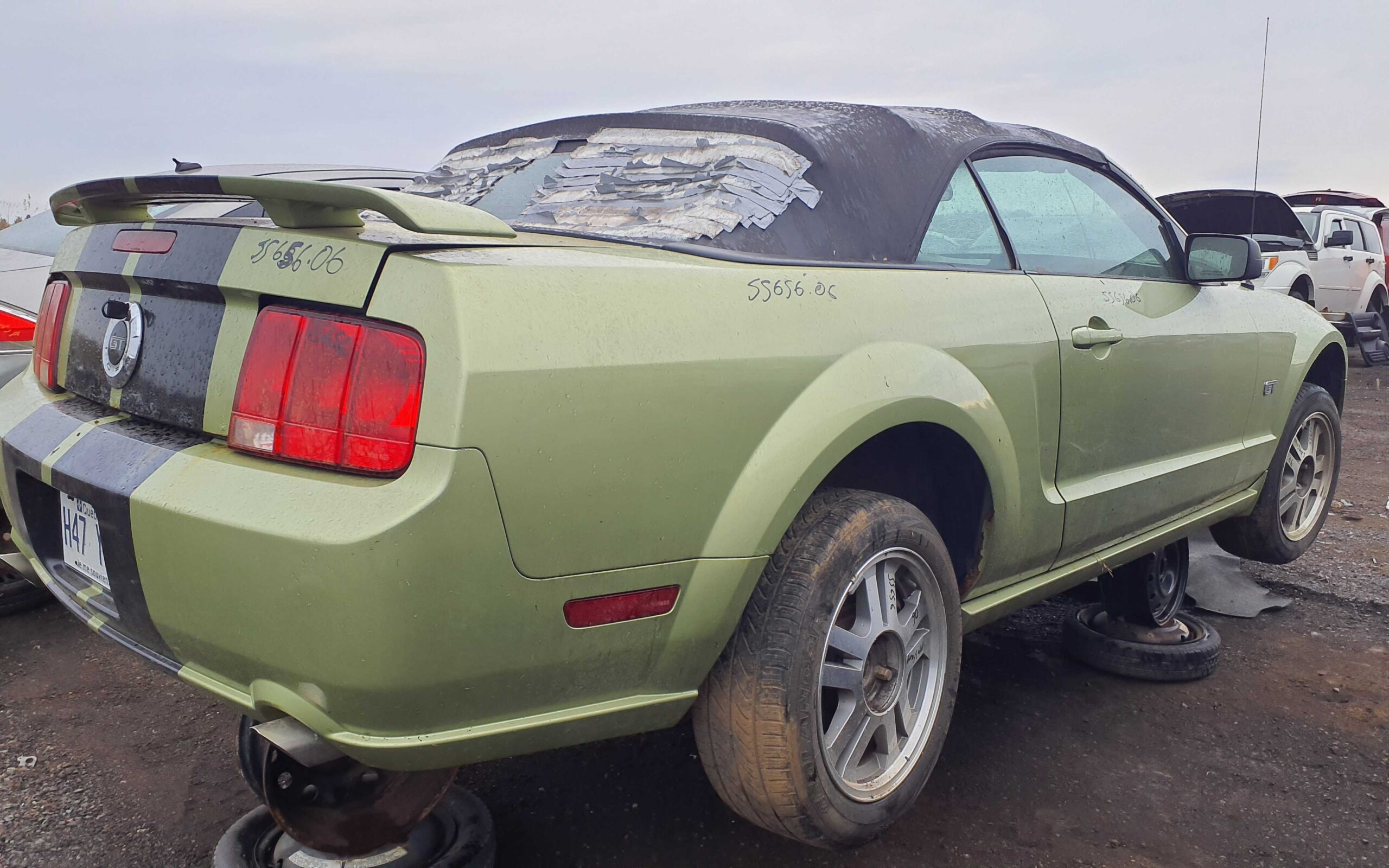 FORD MUSTANG 2006
