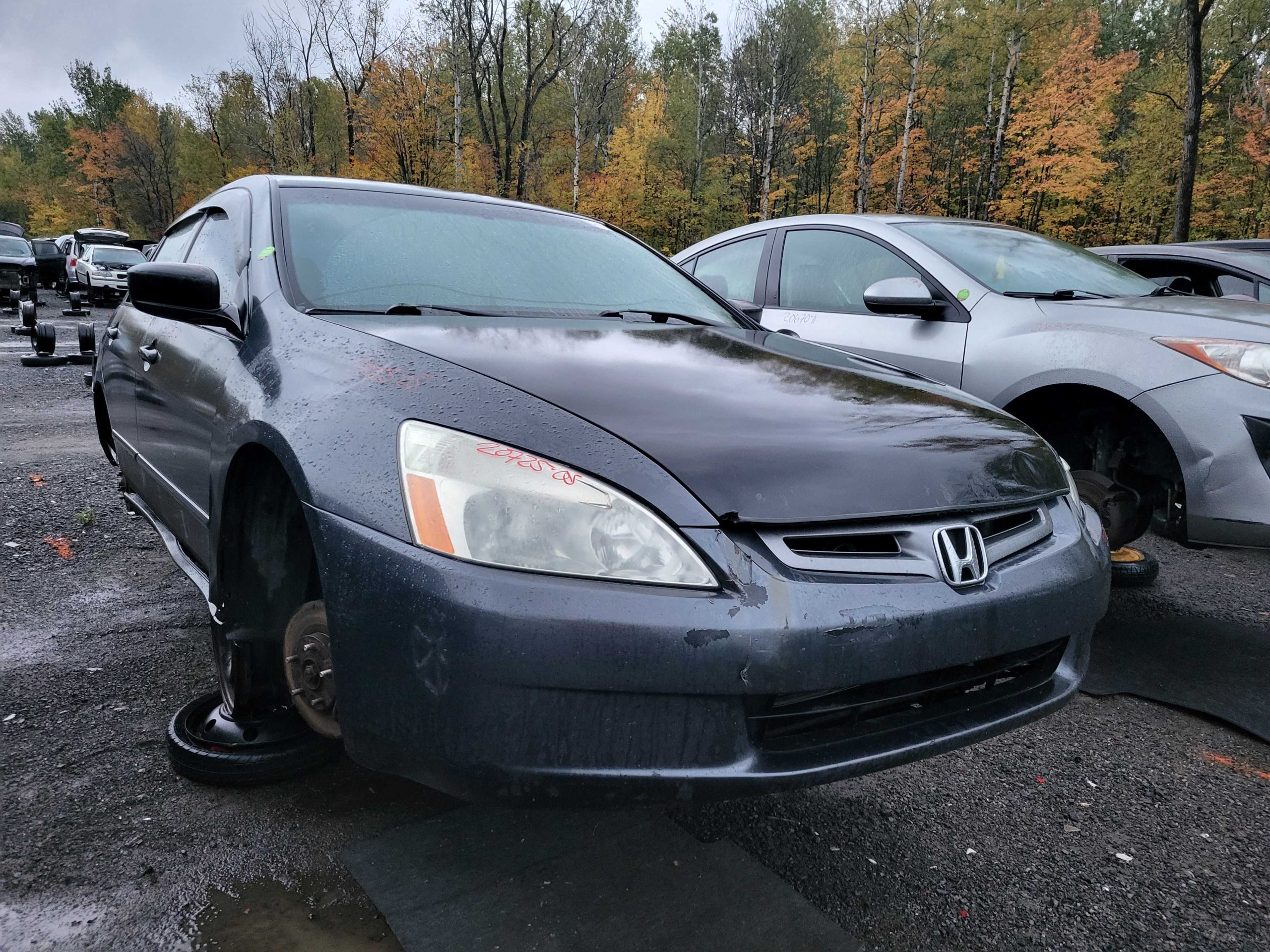 HONDA ACCORD 2005