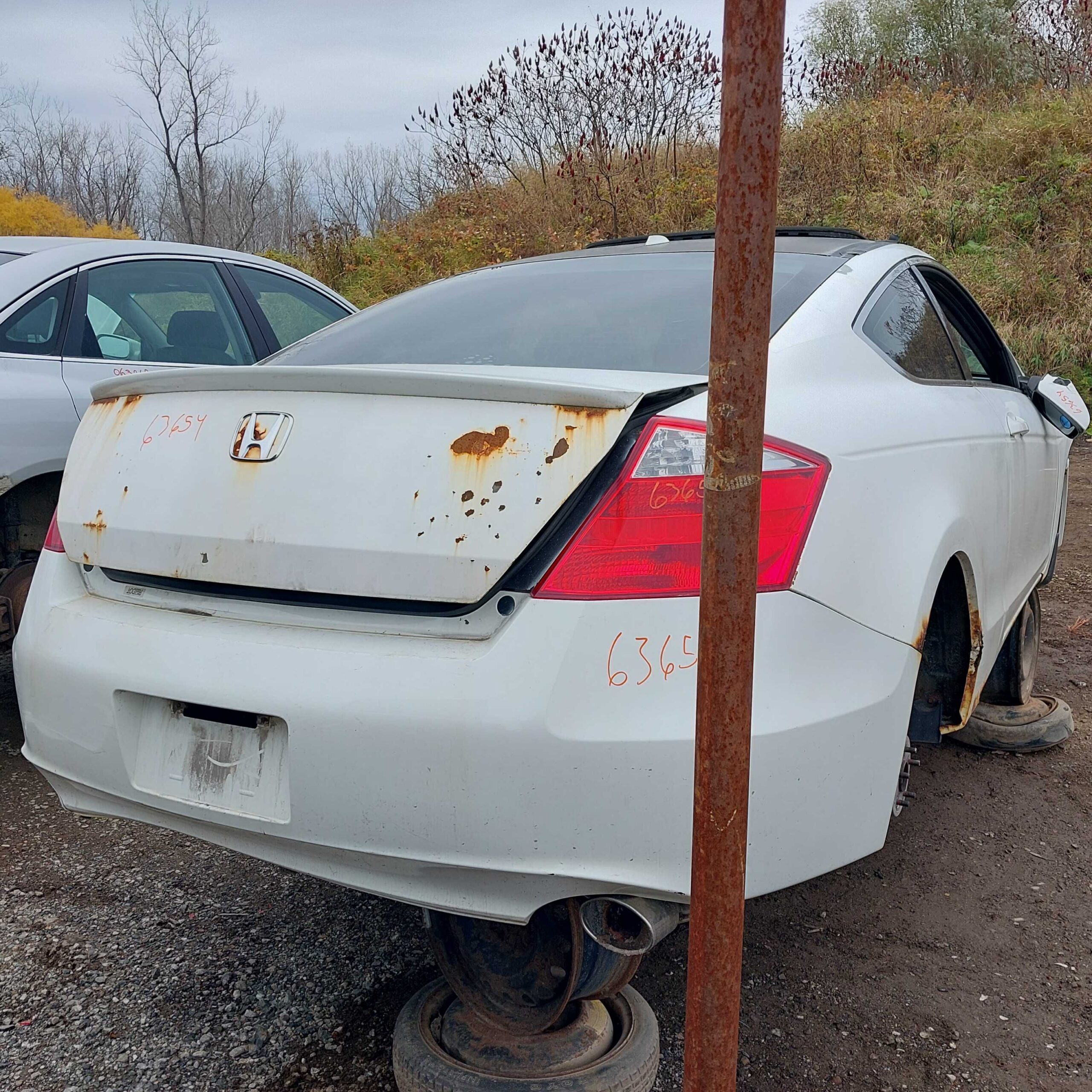 HONDA ACCORD 2010