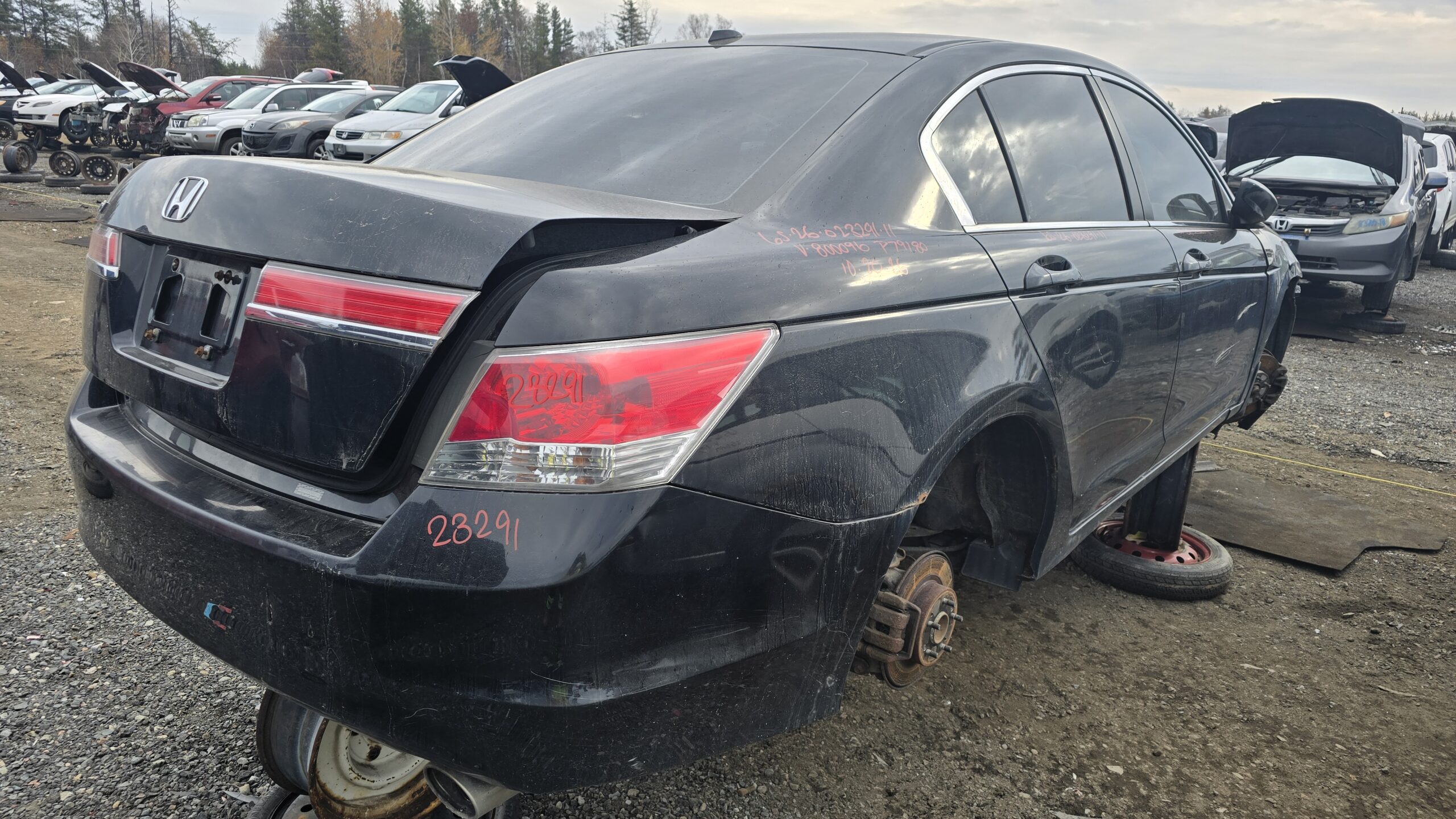 HONDA ACCORD 2011