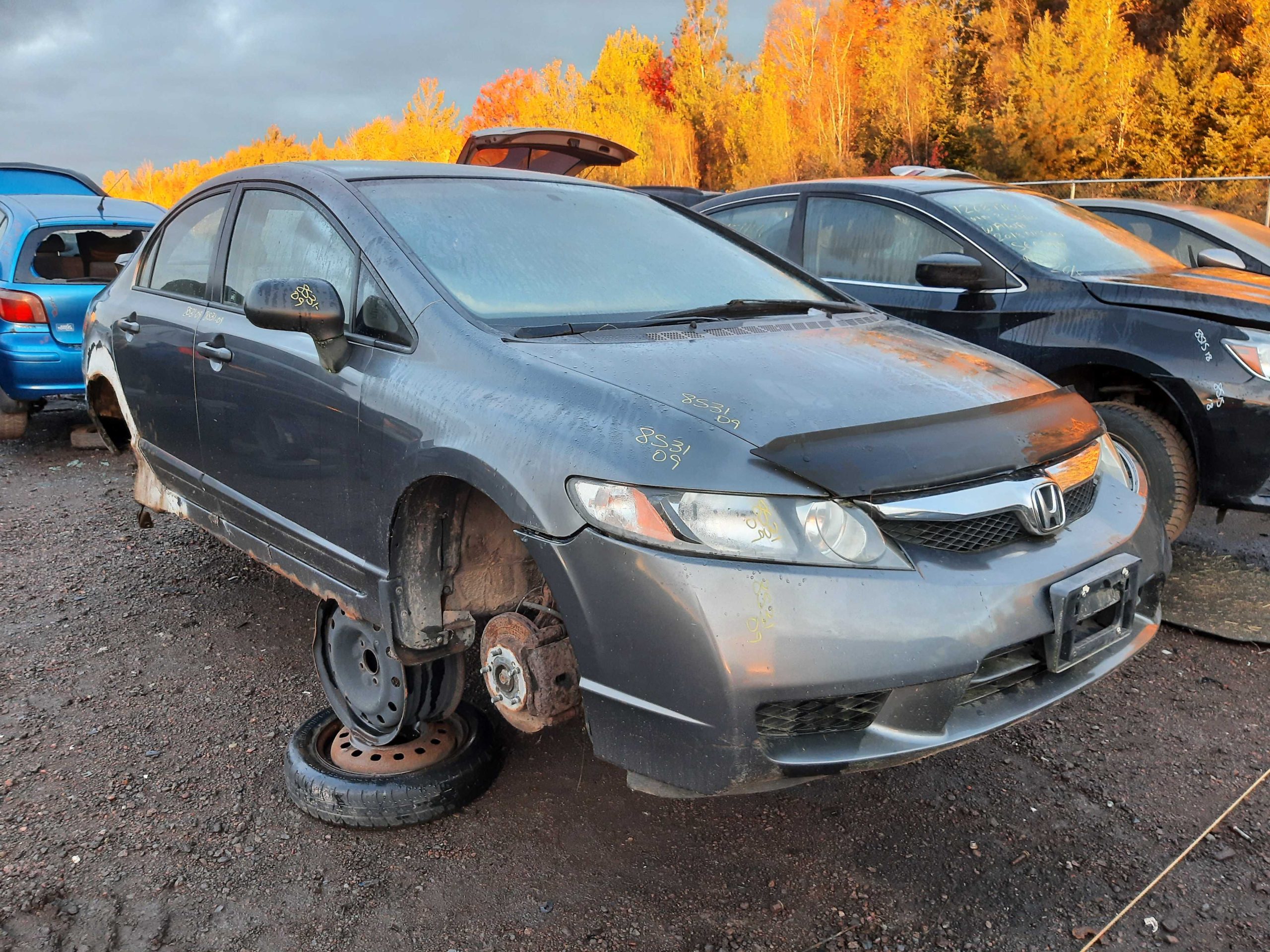HONDA CIVIC 2009
