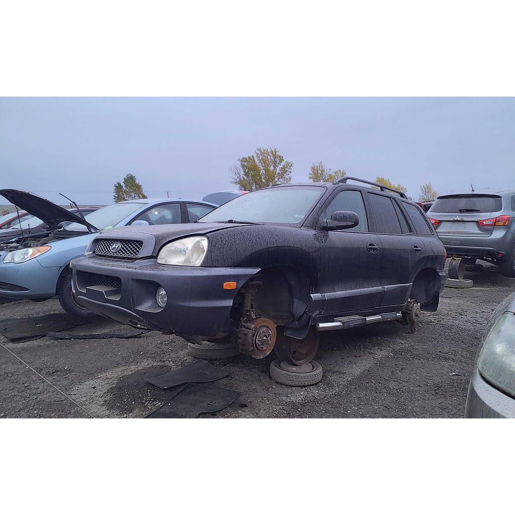 HYUNDAI SANTA FE 2004