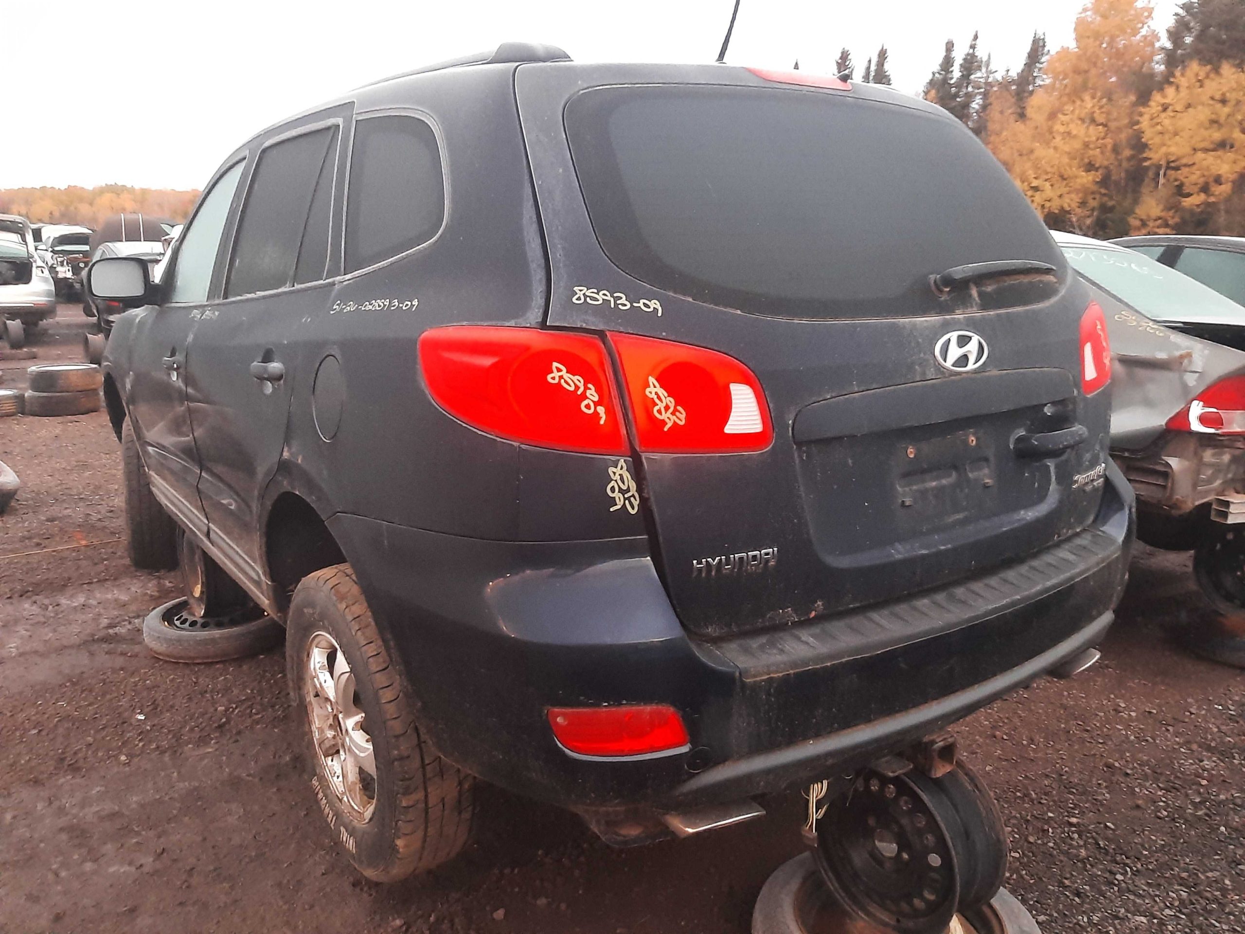 HYUNDAI SANTA FE 2009