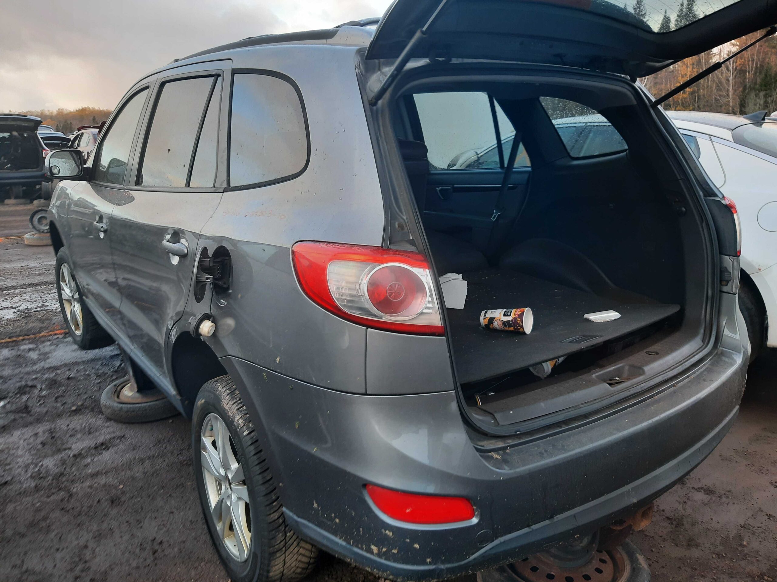 HYUNDAI SANTA FE 2010