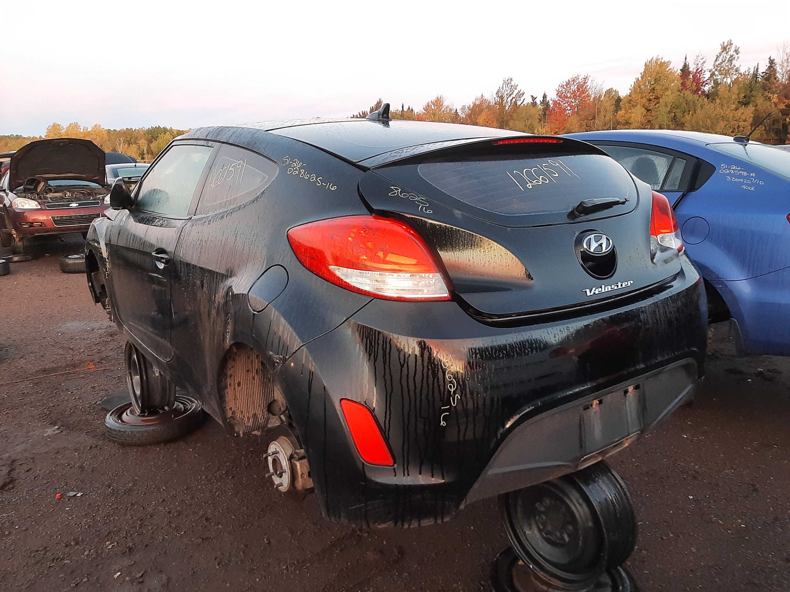 HYUNDAI VELOSTER 2016