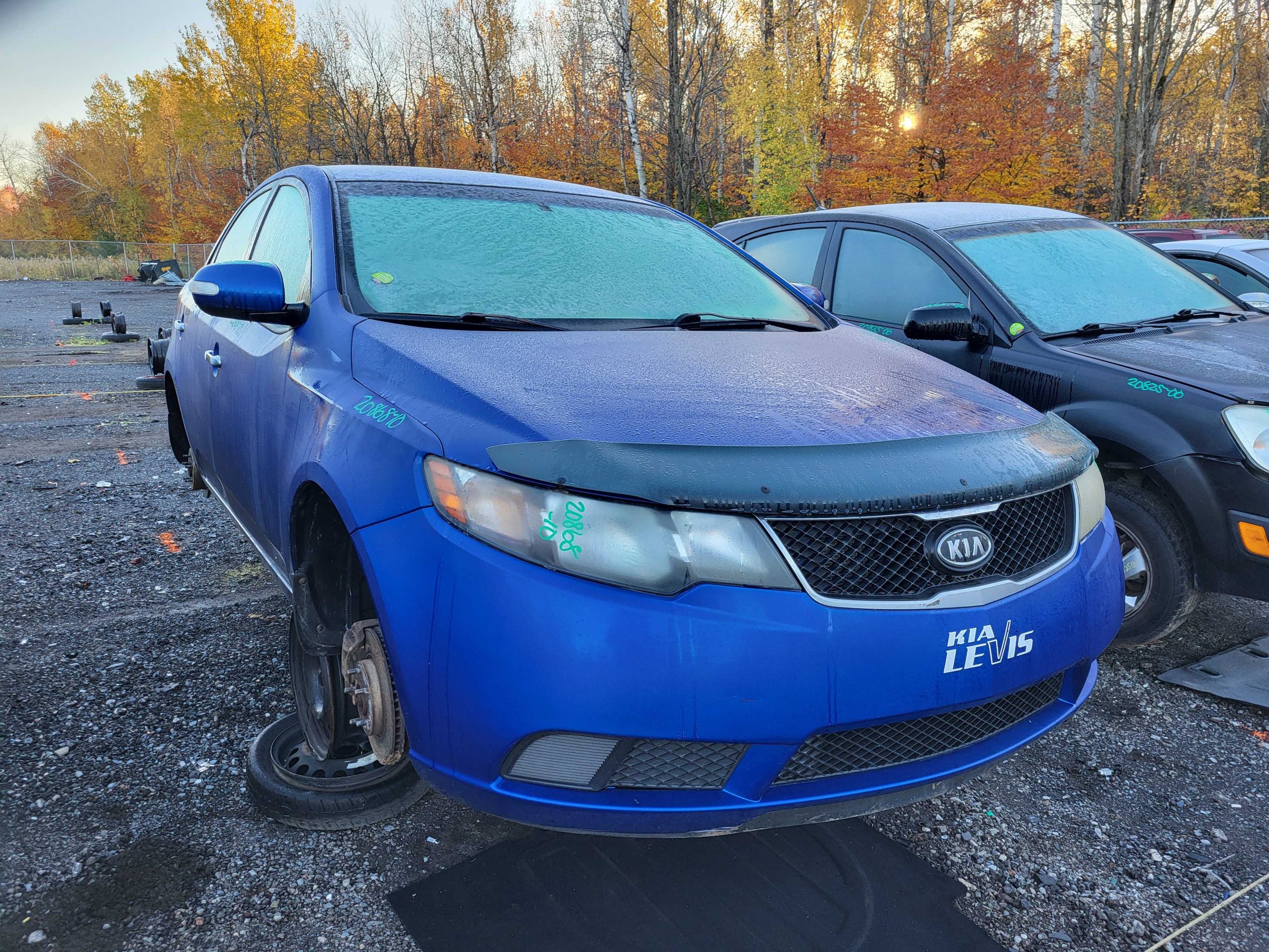 KIA FORTE 2010