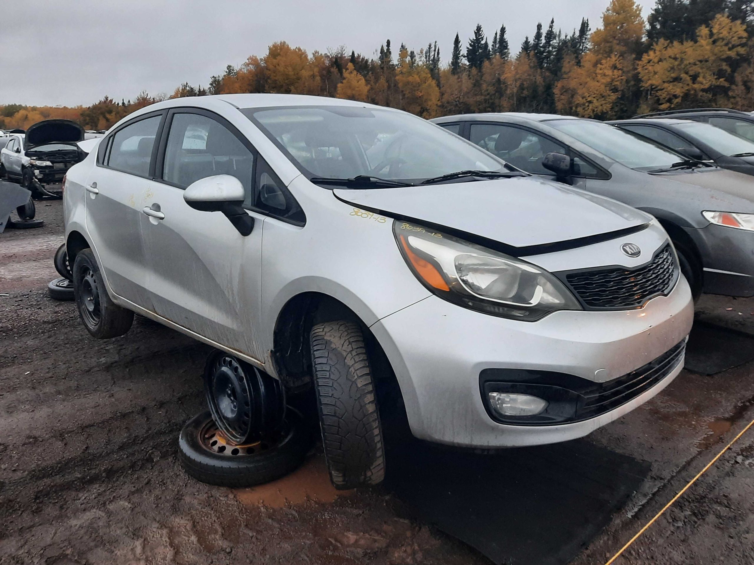 KIA RIO 2013
