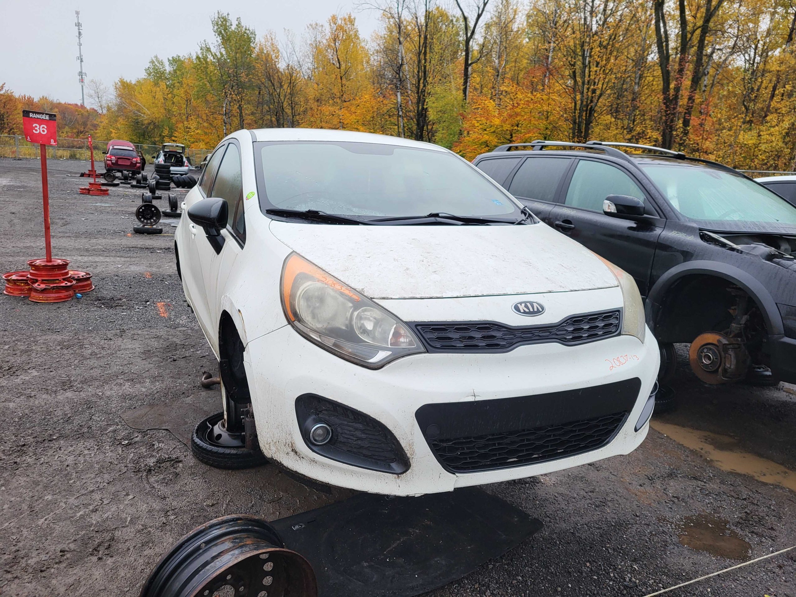 KIA RIO 2013