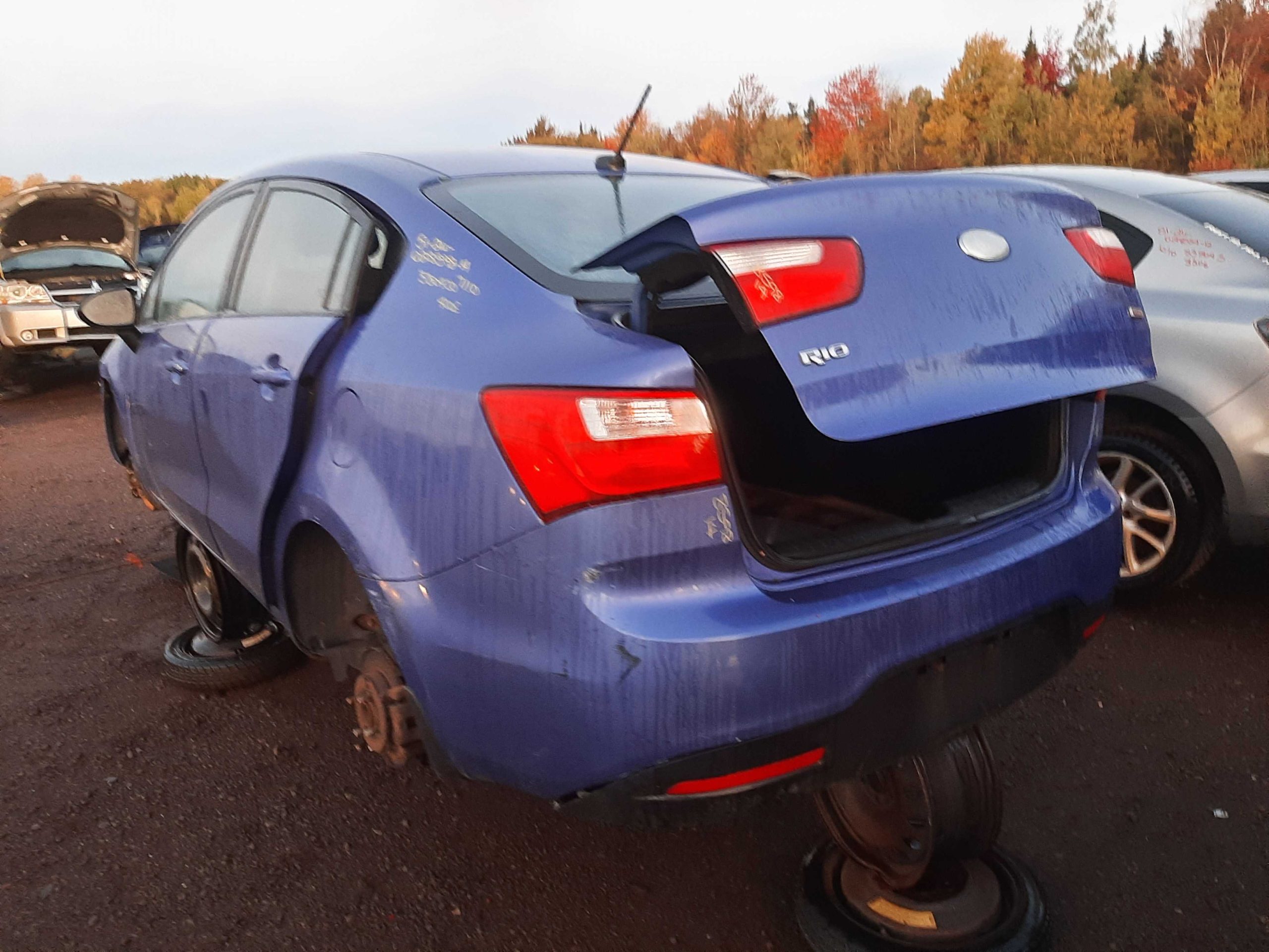 KIA RIO 2014